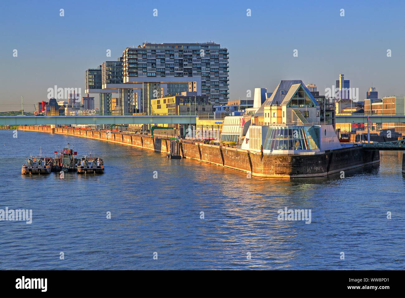 KranhÃ¤user et Musée du chocolat dans l'Rheinauhafen sur les rives du Rhin, Cologne, Rhénanie du Nord-Westphalie, Allemagne de l'Ouest, Allemagne Banque D'Images