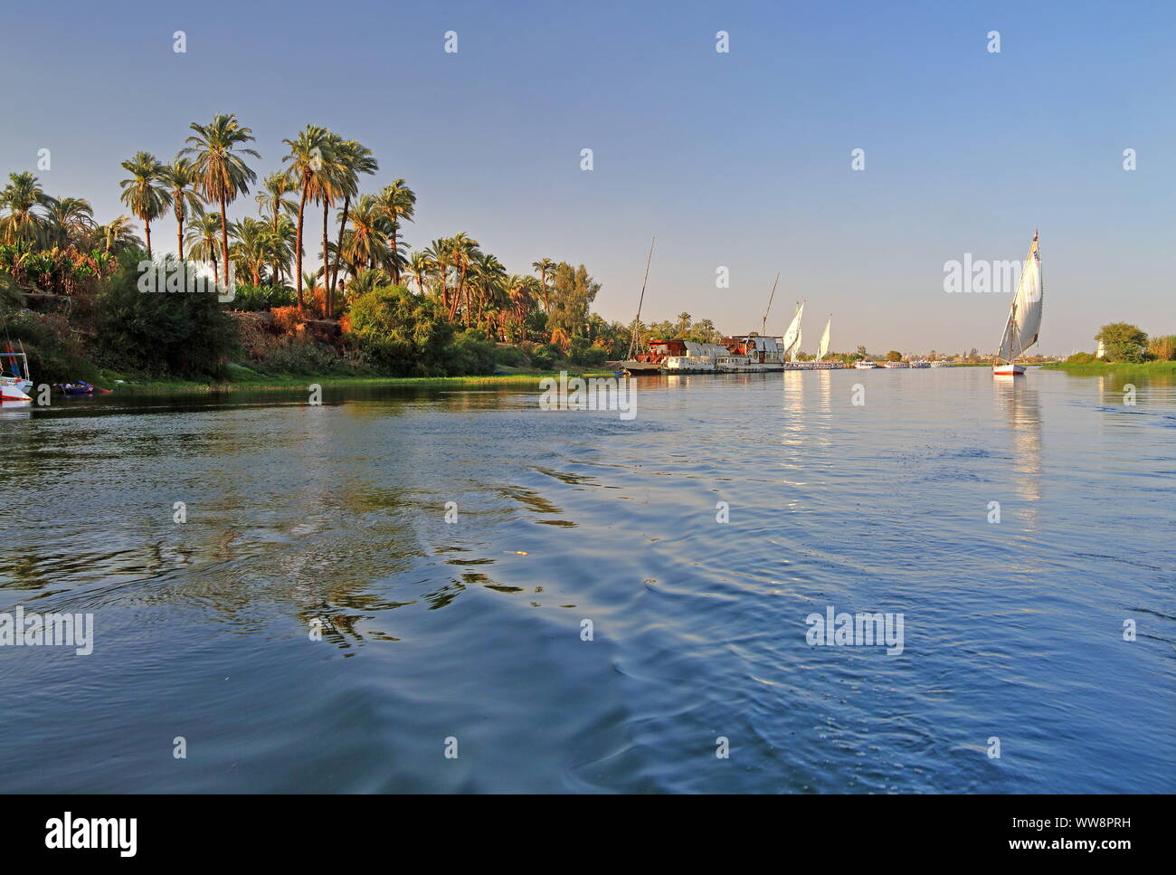 Paysage de rivière avec bateau à voile, felouque sur le Nil, Louxor, Égypte, l'Égypte Banque D'Images