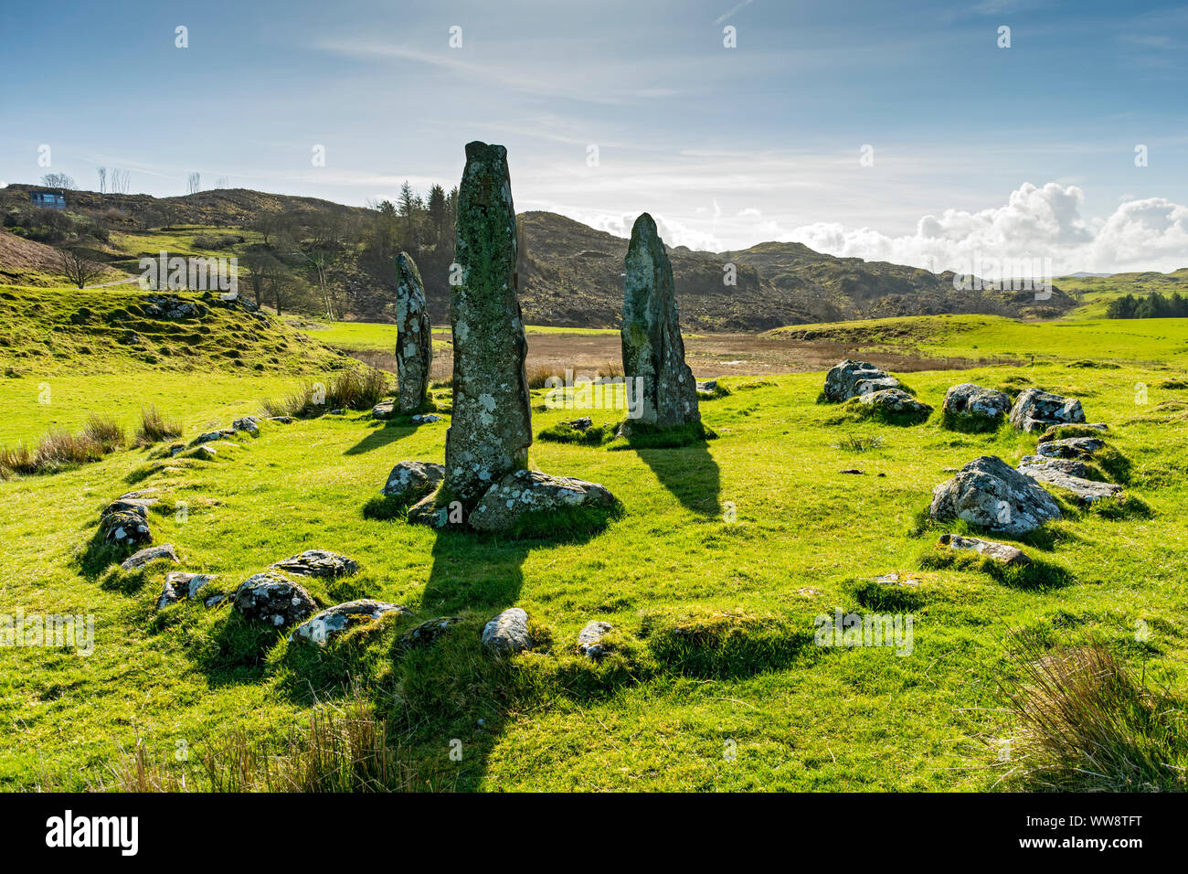Les mégalithes, Glengorm Glengorm près de château, Isle of Mull, Scotland, UK Banque D'Images