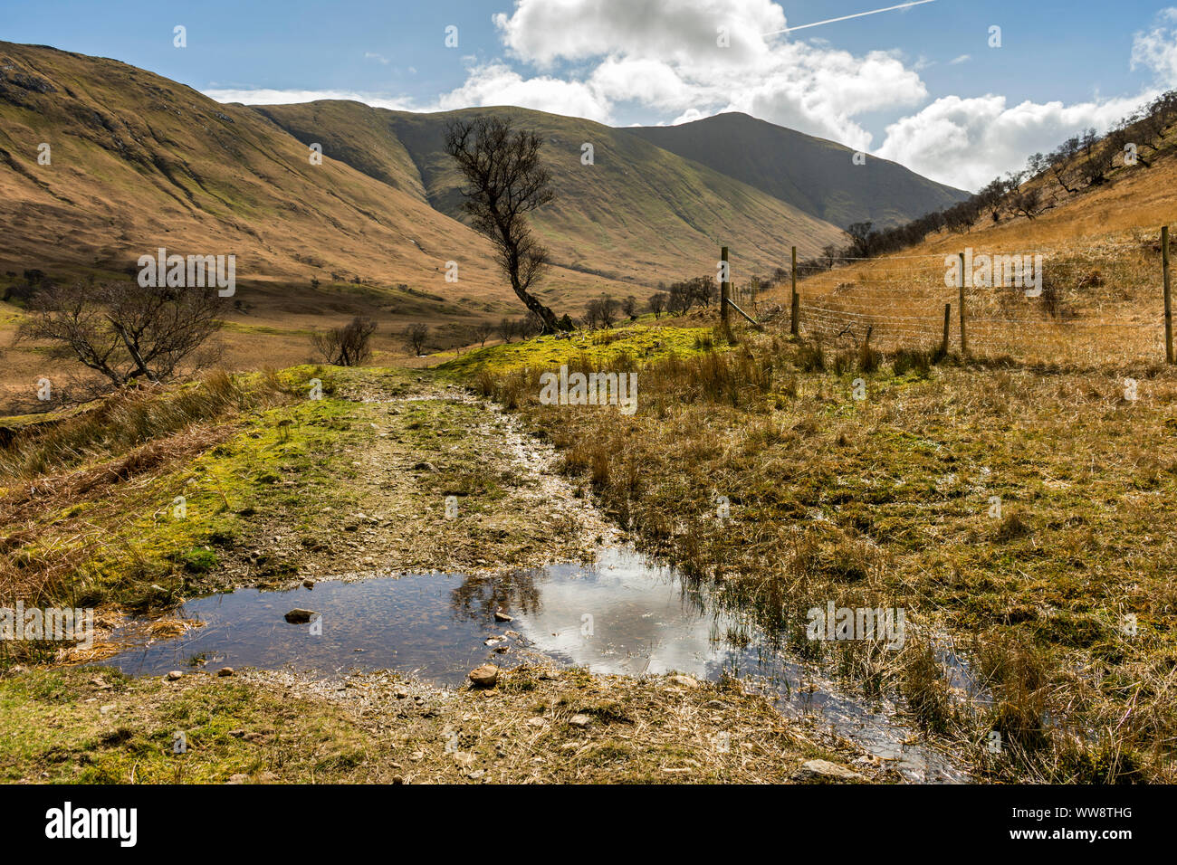 Le Cruachan - Beag Dearg Cruachan de Glen Ridge Clachaig, Isle of Mull, Scotland, UK Banque D'Images