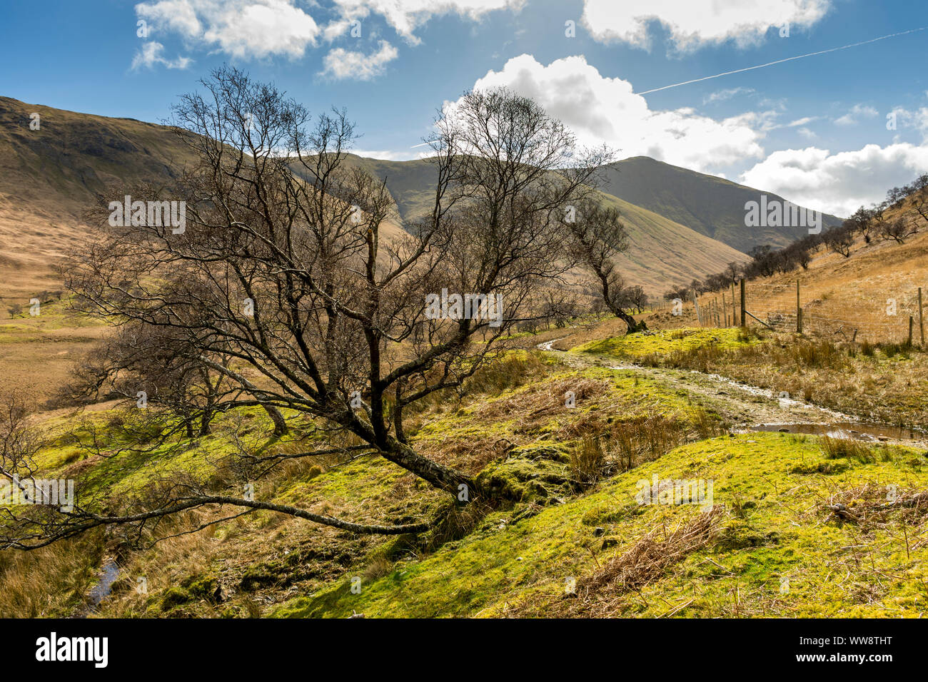 Le Cruachan - Beag Dearg Cruachan de Glen Ridge Clachaig, Isle of Mull, Scotland, UK Banque D'Images