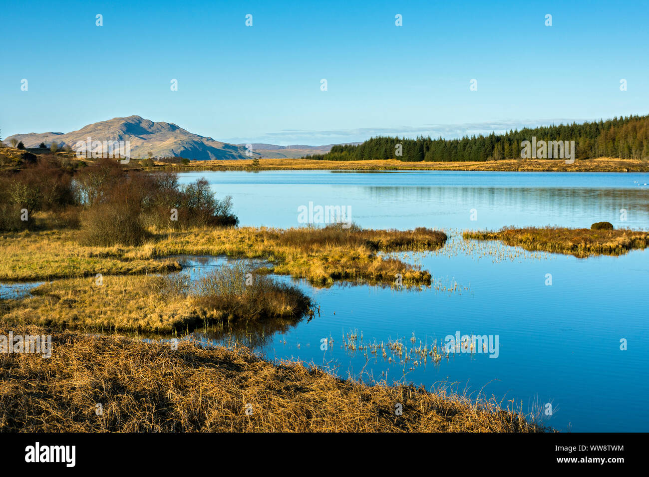 Peallach Loch, près de Tobermory, sur l'île de Mull, Ecosse, Royaume-Uni Banque D'Images