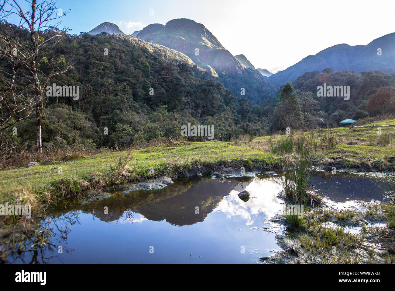 Paysage le long chemin à tan Tinh Yeu cascade qui se trouve dans le Parc National de Hoang Lien près de Sapa Vietnam Asie Banque D'Images