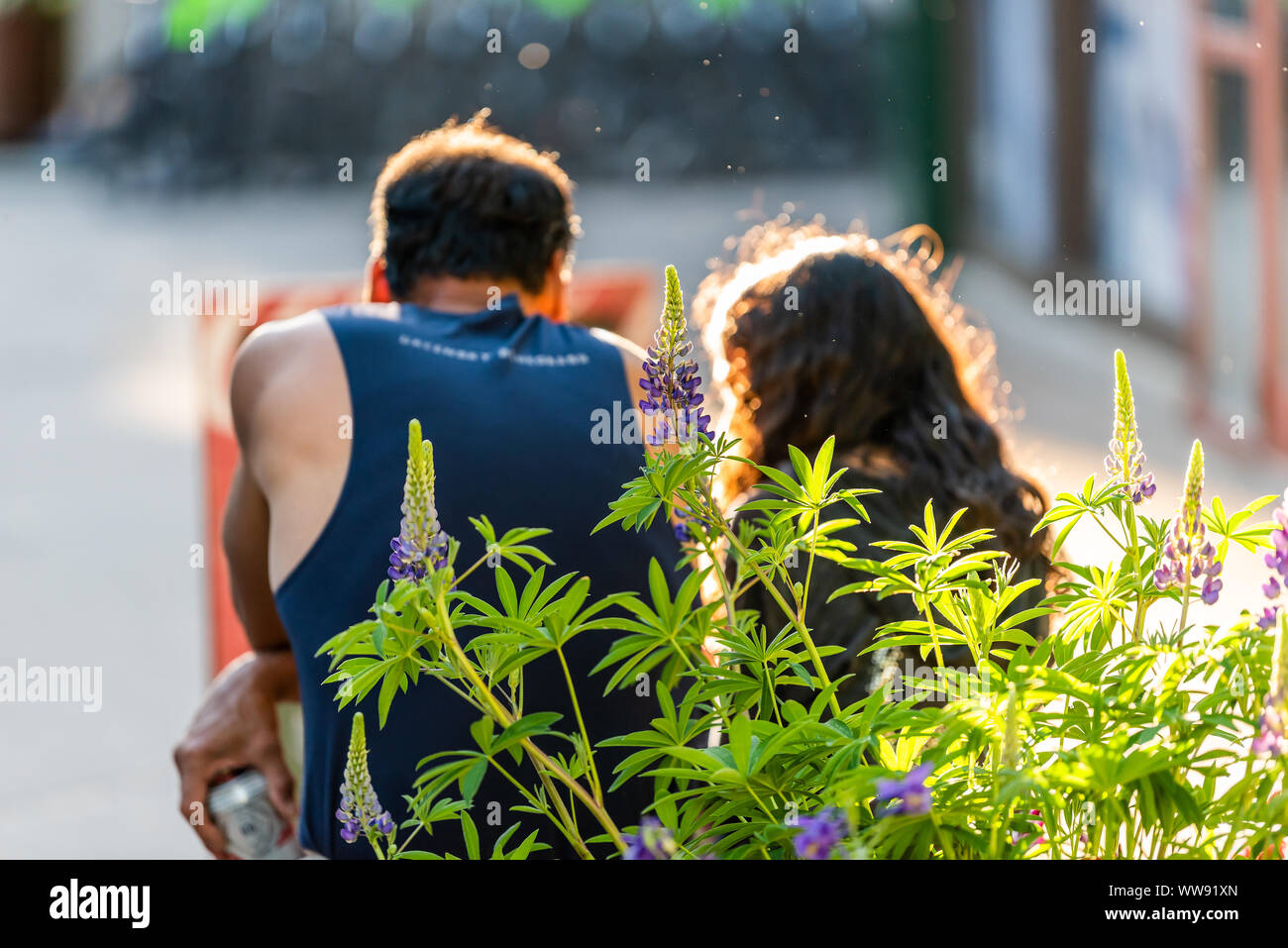 Aspen, USA - 4 juillet 2019 : Snowmass village ville et personnes couple resting in Colorado downtown avec fleurs lupin Banque D'Images
