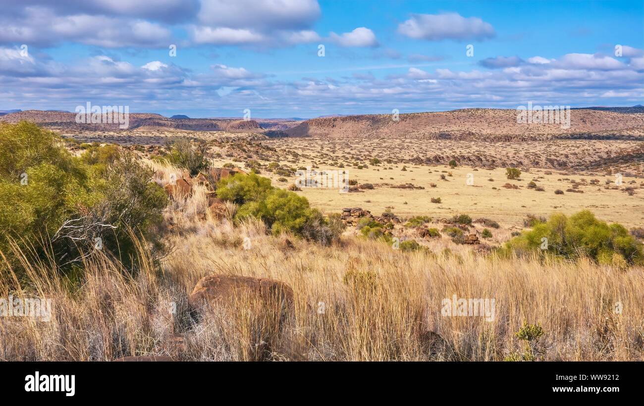 Une vue panoramique d'un paysage typique de la région de Great Karoo en Afrique du Sud, avec sa tête plate appelée collines Karoo Koppies. Près de Philippolis. Banque D'Images