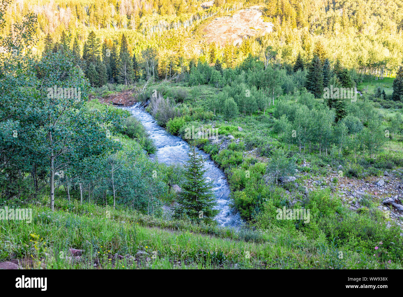 Les feuilles vertes sous le soleil sur le sentier du lac Snowmass dans le Colorado dans le parc forestier national et Snowmass creek river eau high angle view Banque D'Images