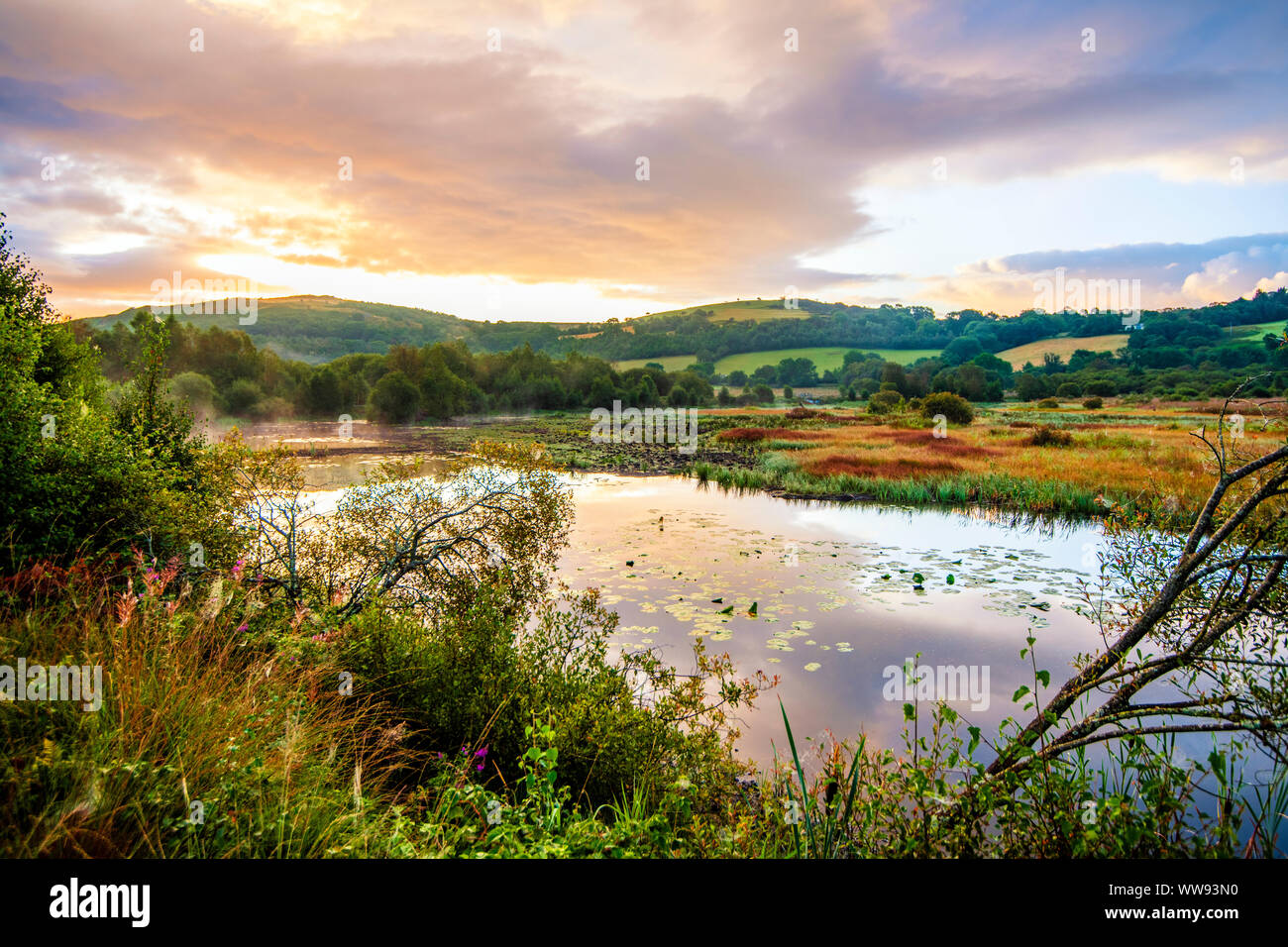 La SCRO Caron magnifique réserve naturelle nationale près de Tregaron à la mi-Galles Banque D'Images