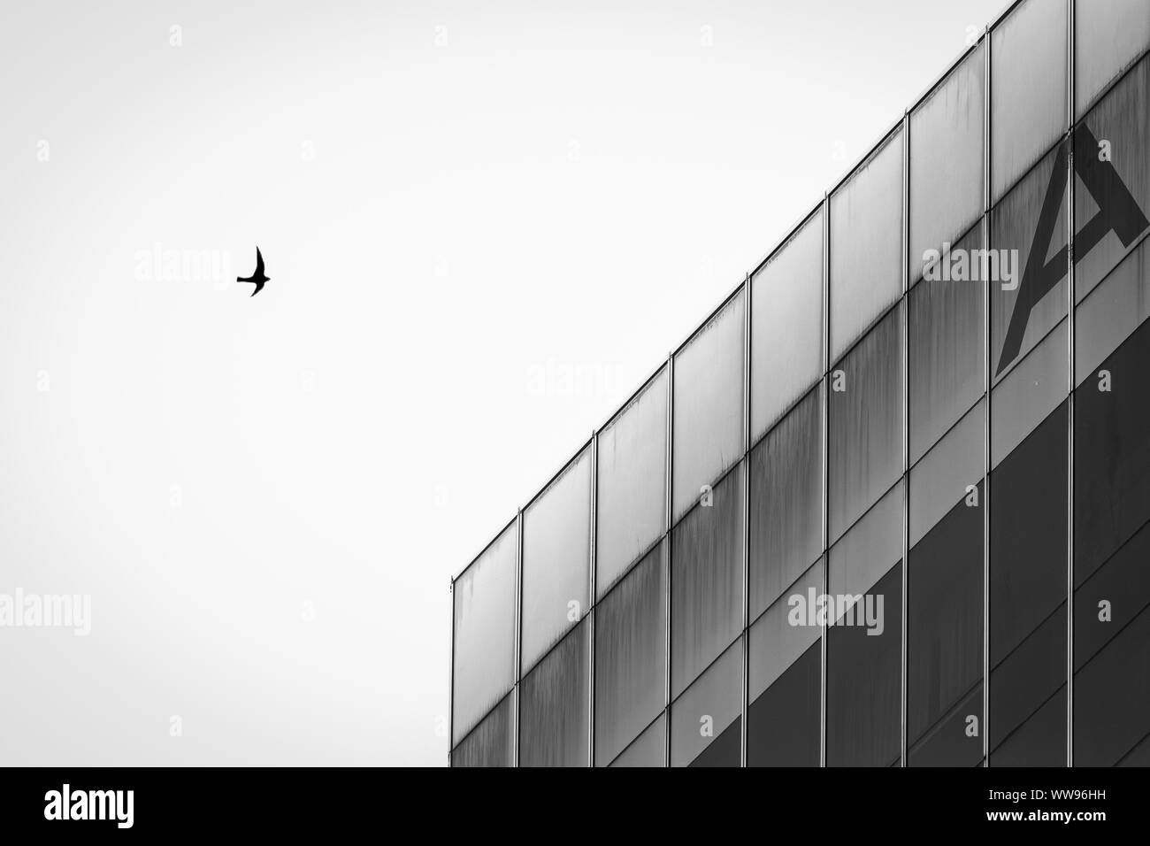Architecture bâtiment noir et blanc avec seul oiseau volant au-dessus Banque D'Images