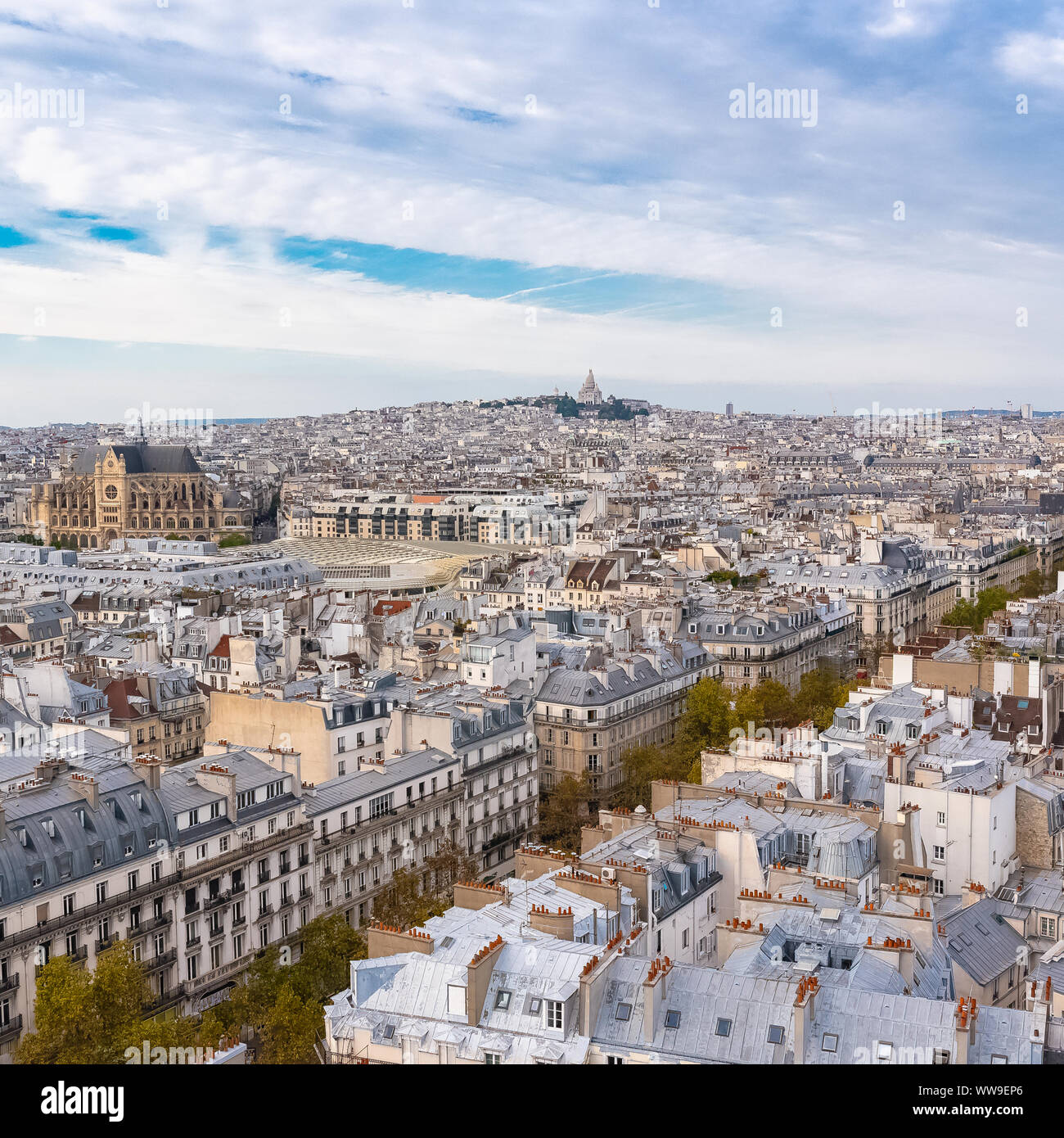 Paris, toits typiques, de beaux bâtiments avec l'église Saint-Eustache, vue aérienne de la Tour Saint-Jacques Banque D'Images