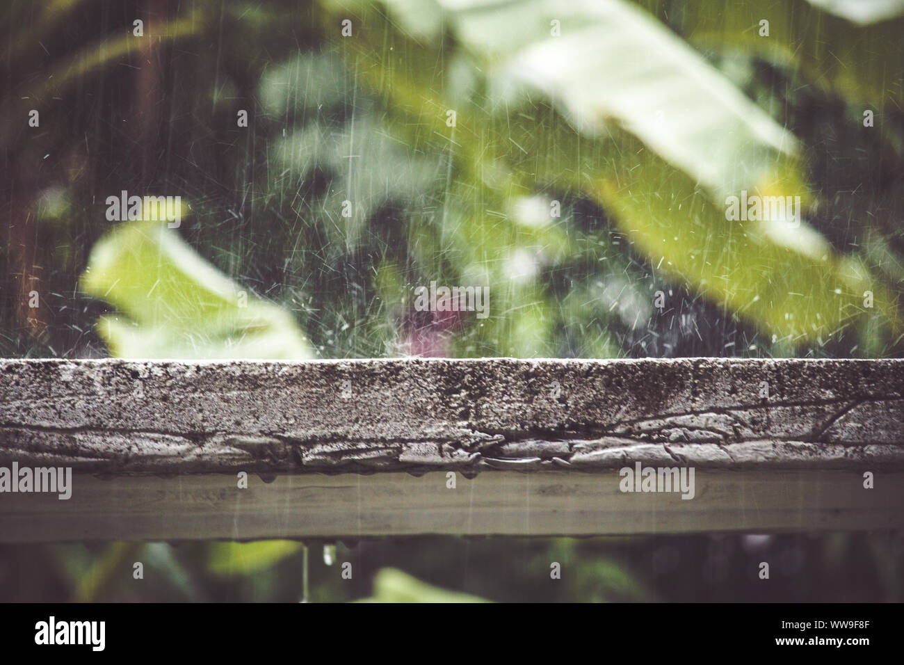 Gouttes de pluie sur dalle avec fond vert Banque D'Images