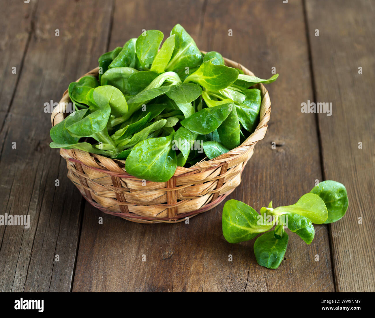 Dans un bol à salade sur le terrain sur la vieille table en bois Banque D'Images