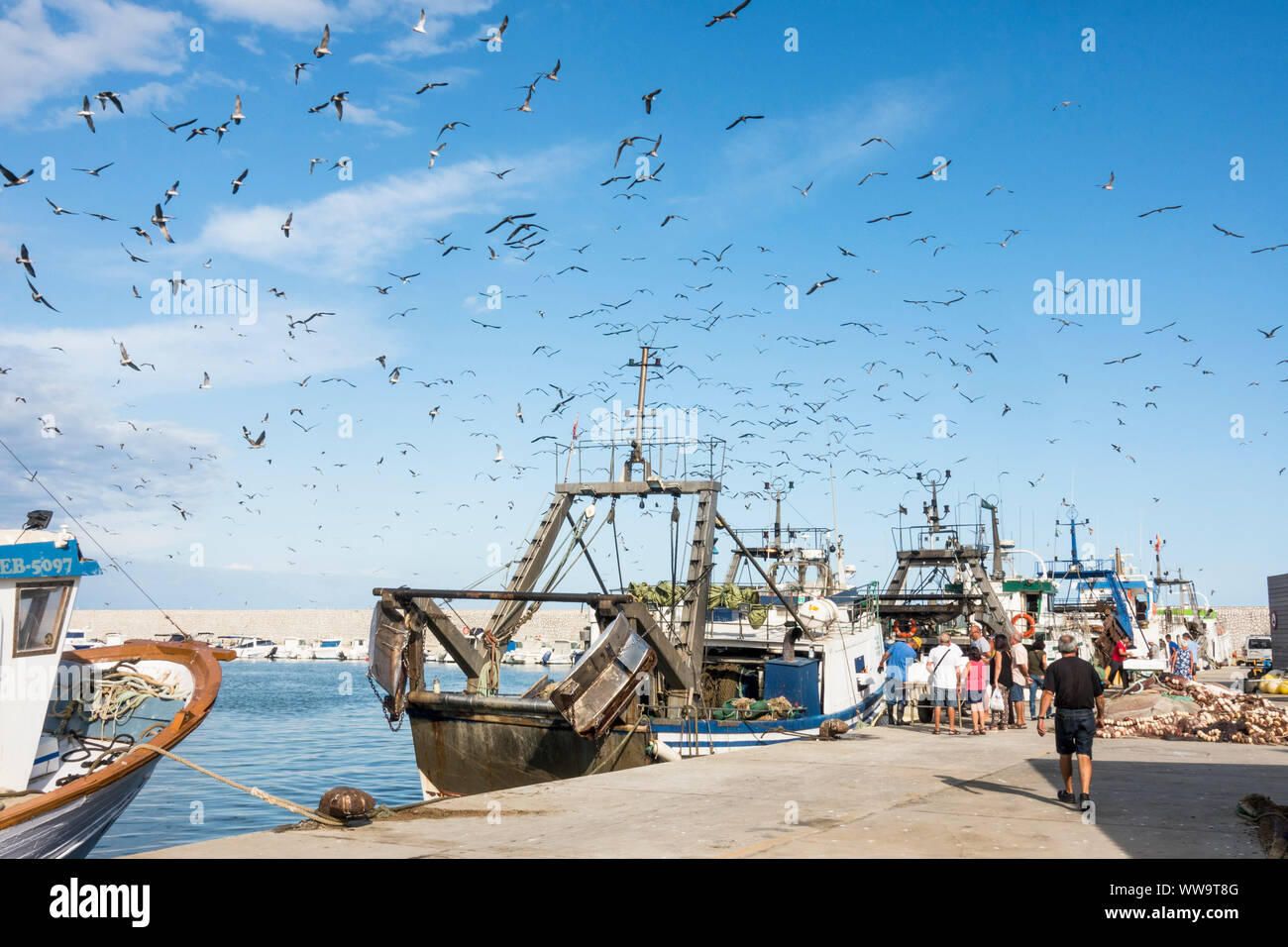 Bateaux de pêche commerciale qui arrivent au port de Malaga, Andalousie, espagne. Banque D'Images