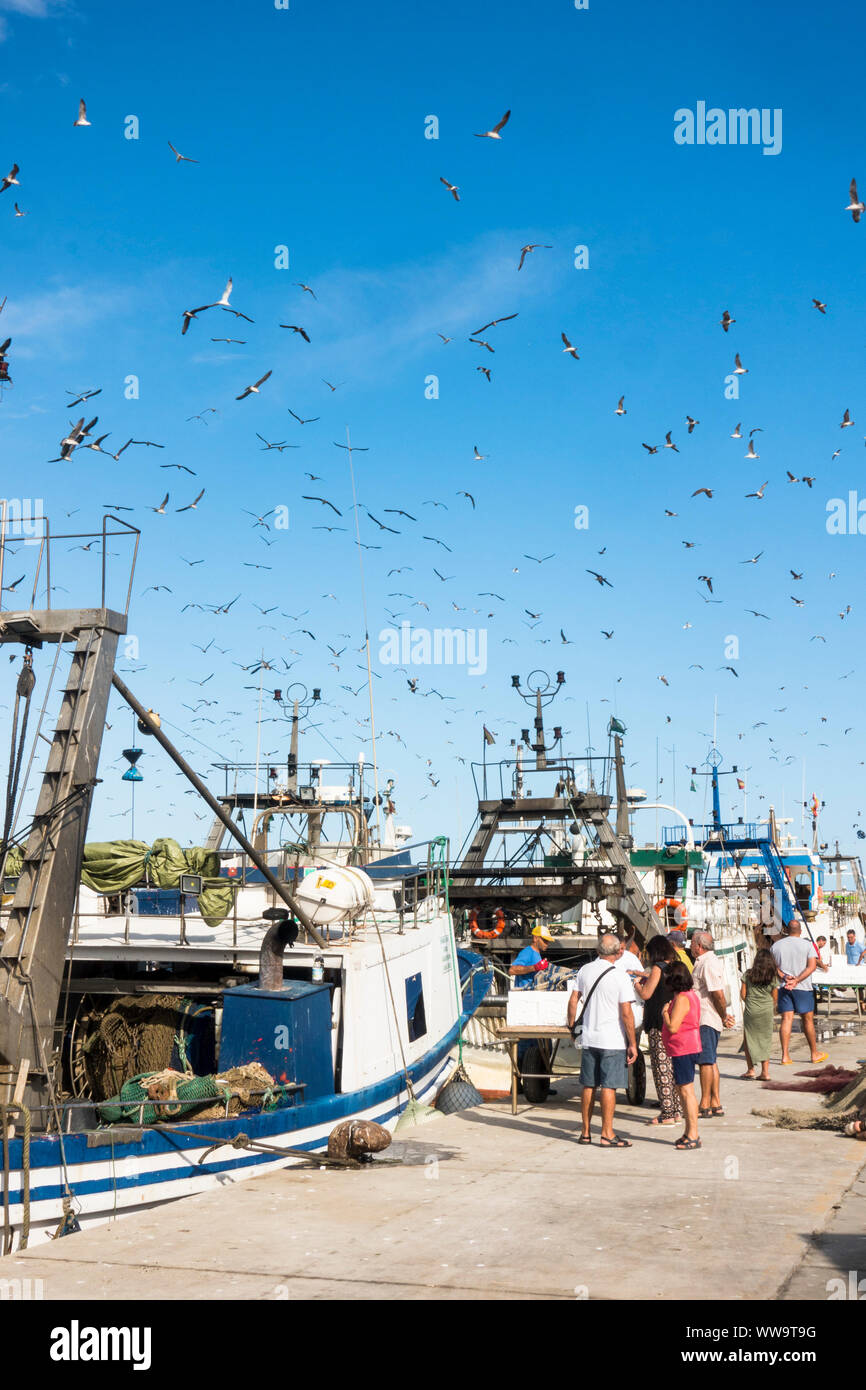 Bateaux de pêche commerciale qui arrivent au port de Malaga, Andalousie, espagne. Banque D'Images