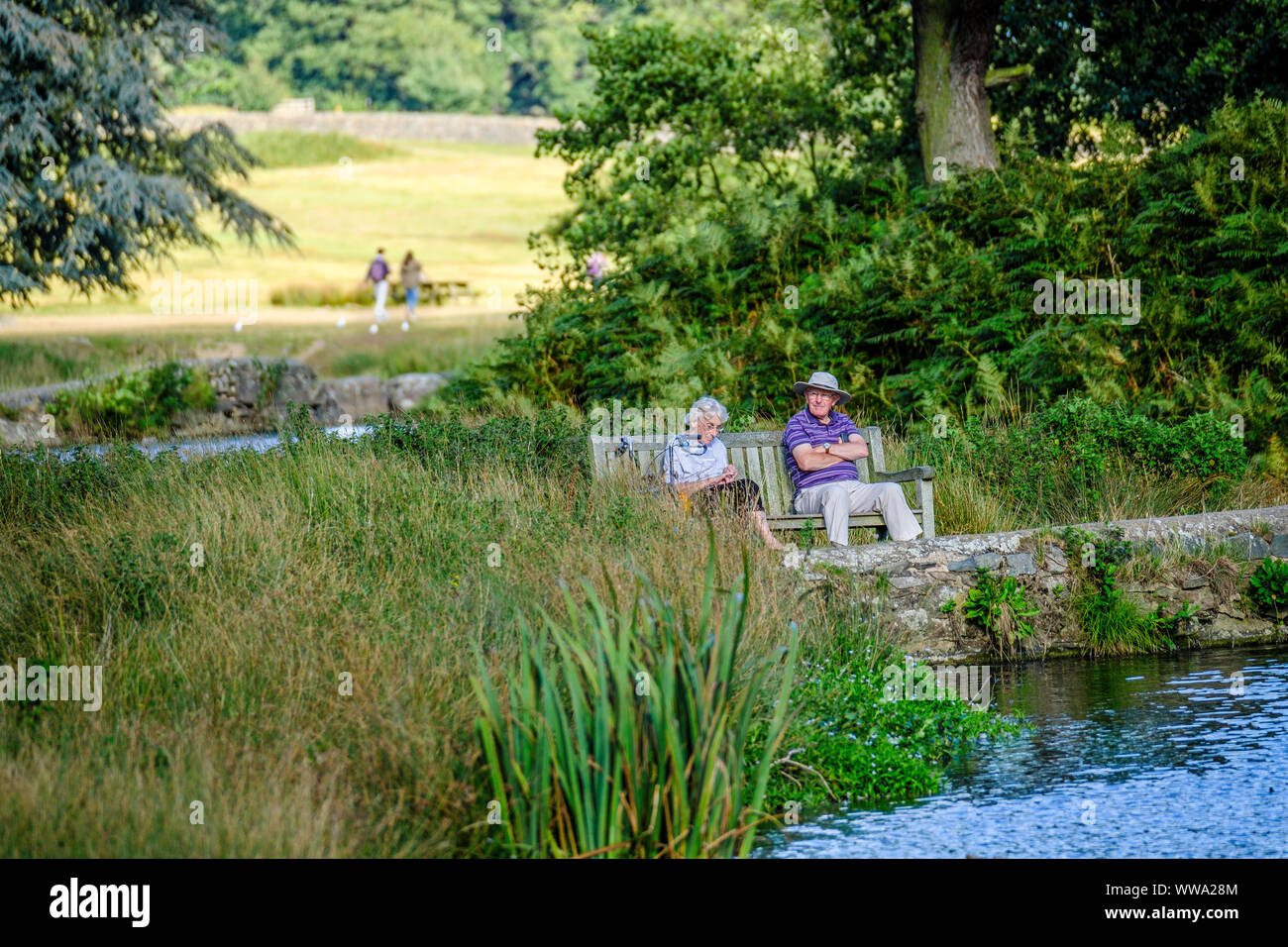 Deux retraités assis sur un banc de parc en été. Banque D'Images