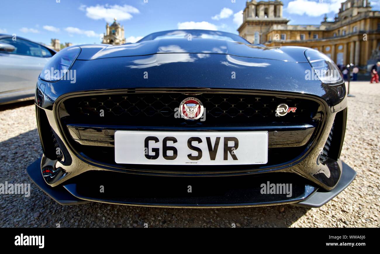 Jaguar F Type 50 V8 suralimenté SVR SVR (G6) au salon de l'Concours d'elégance à Blenheim Palace, le 8 septembre 2019 Banque D'Images