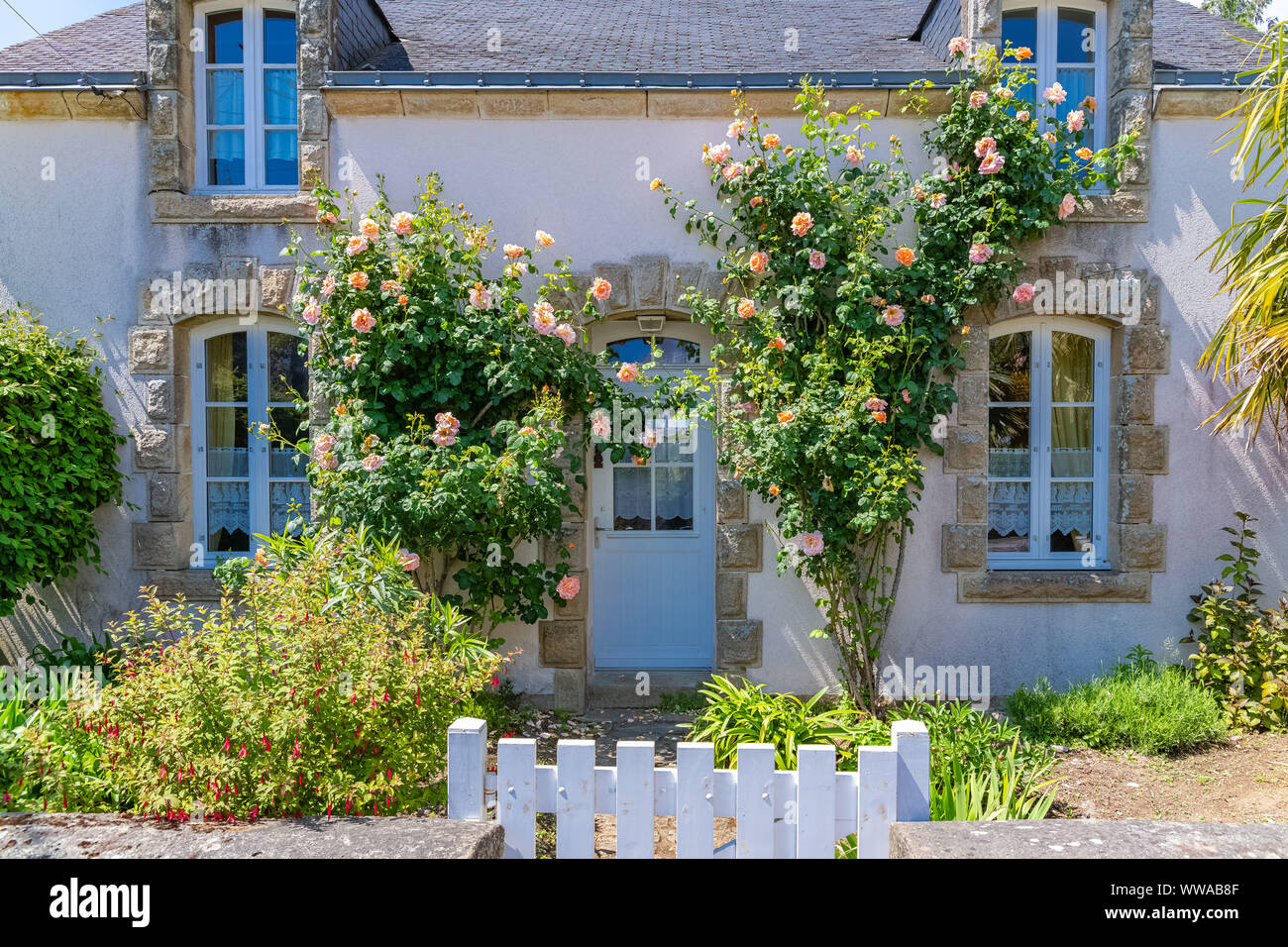 Belle petite maison en Bretagne, maison typique avec rosier et d'une porte en bois Banque D'Images
