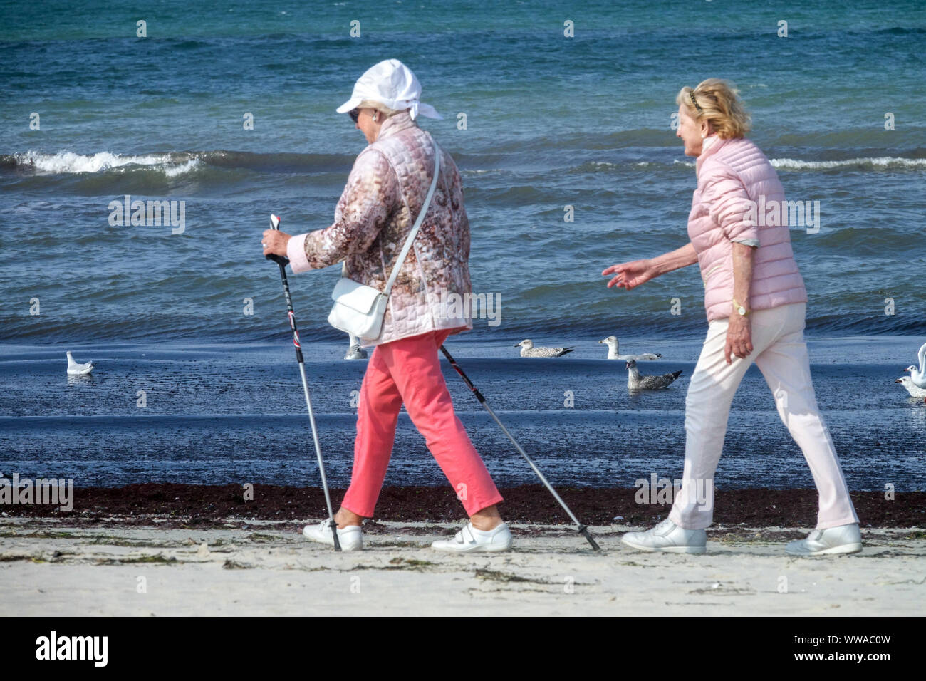 Seniors femmes nordiques marchant le long de la plage mer Baltique Allemagne mode de vie sain Allemagne personnes âgées Banque D'Images