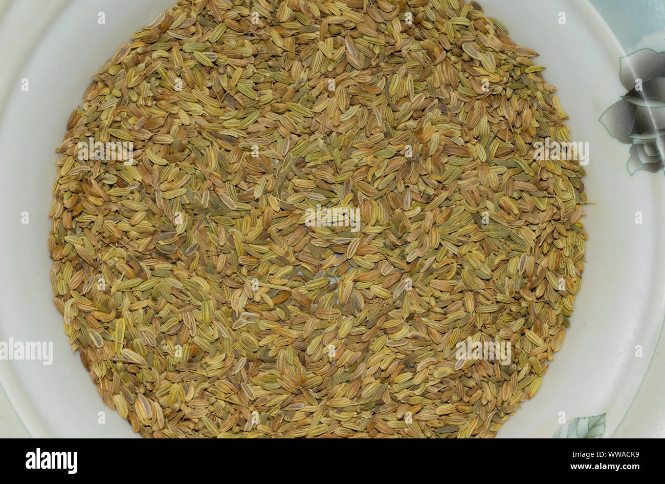 Close up de graines de fenouil séchées dans une assiette blanche,Vue de dessus.tas de graines de fenouil sec dans une assiette. Banque D'Images