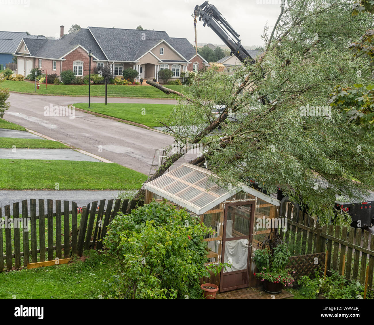 Dommages à la propriété résidentielle de l'Ouragan Dorian. L'arbre de levage de la grue une petite serre dans un quartier résidentiel. Banque D'Images