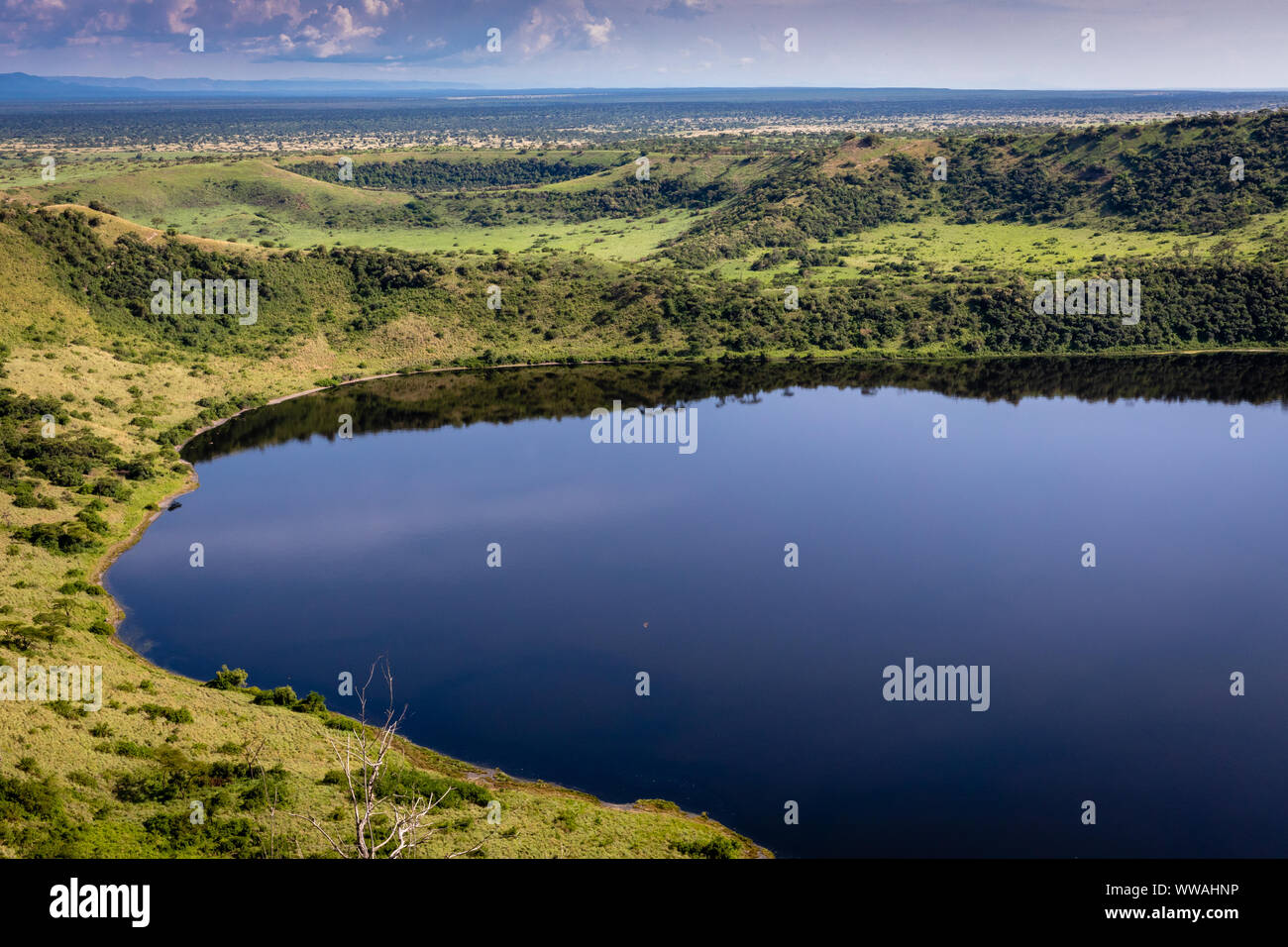 Lac de cratère bleu dans le Parc national Queen Elizabeth, en Ouganda Banque D'Images