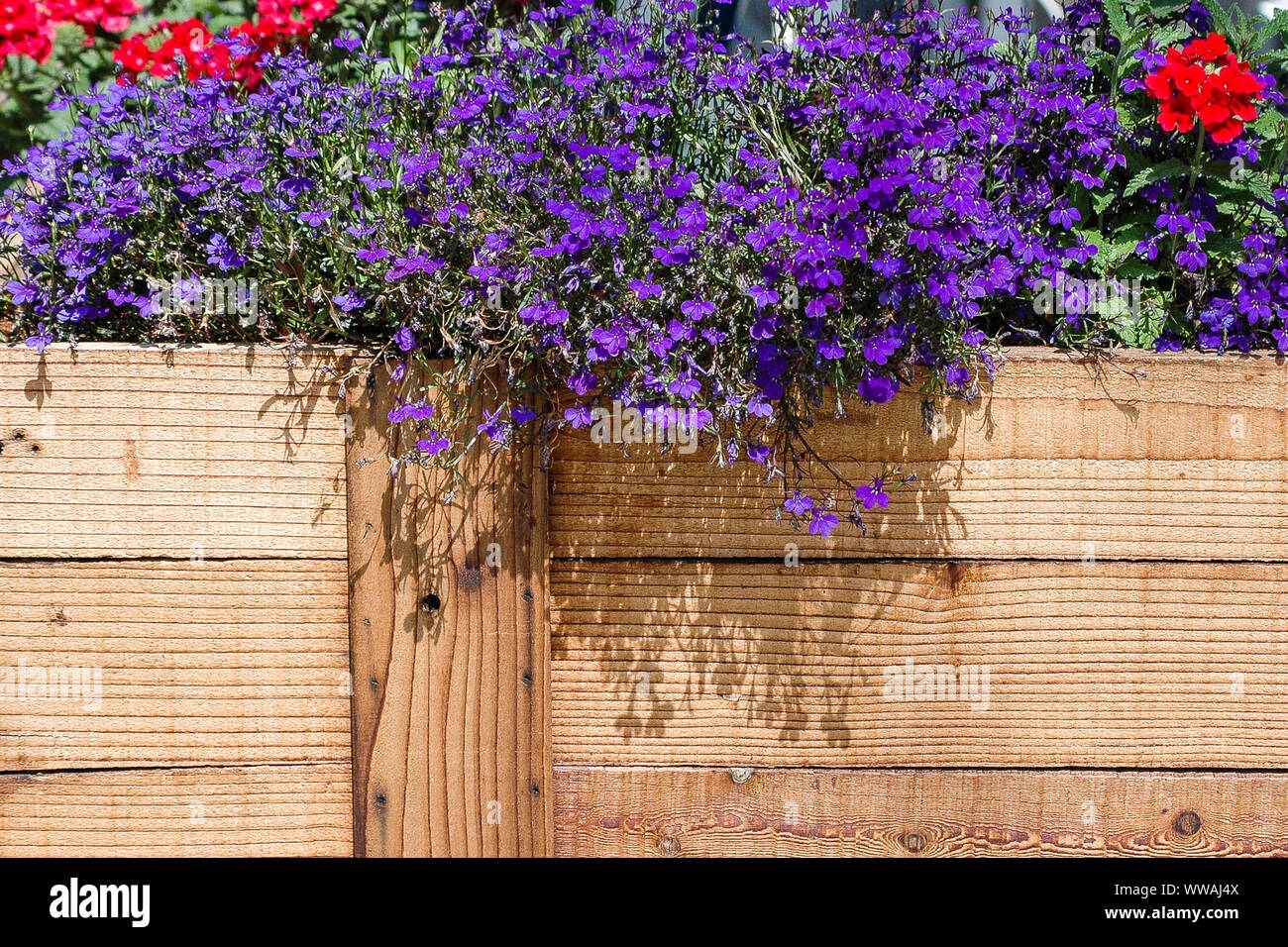Fort de l'usine Banque D'Images