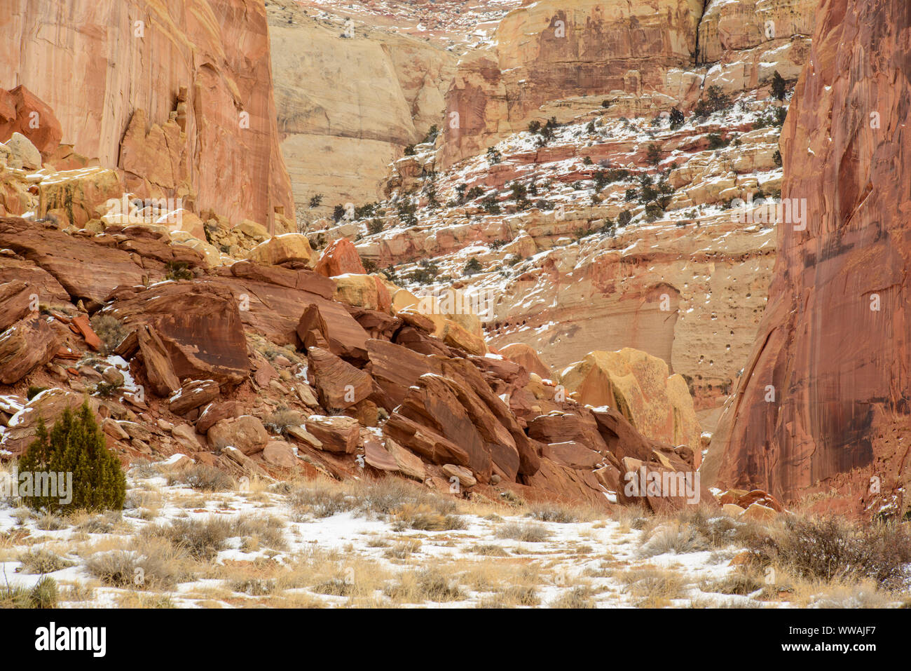 Laver les murs de canyon grand en hiver, Capitol Reef National Park, Utah, USA Banque D'Images