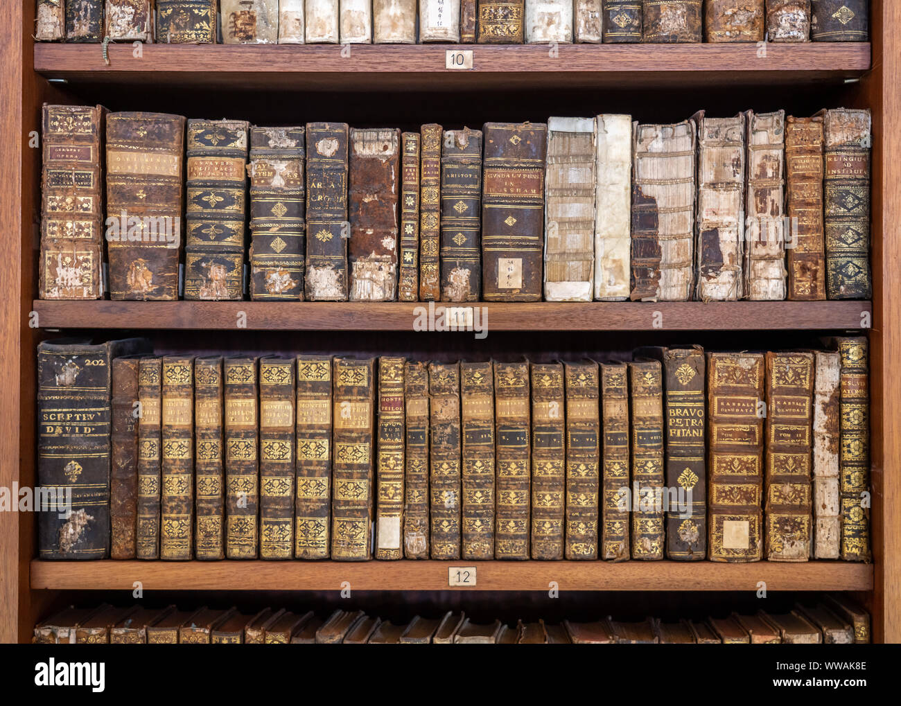 Vieux livres en entreposage dans le récit johannique de bibliothèque de l'Université de Coimbra Banque D'Images