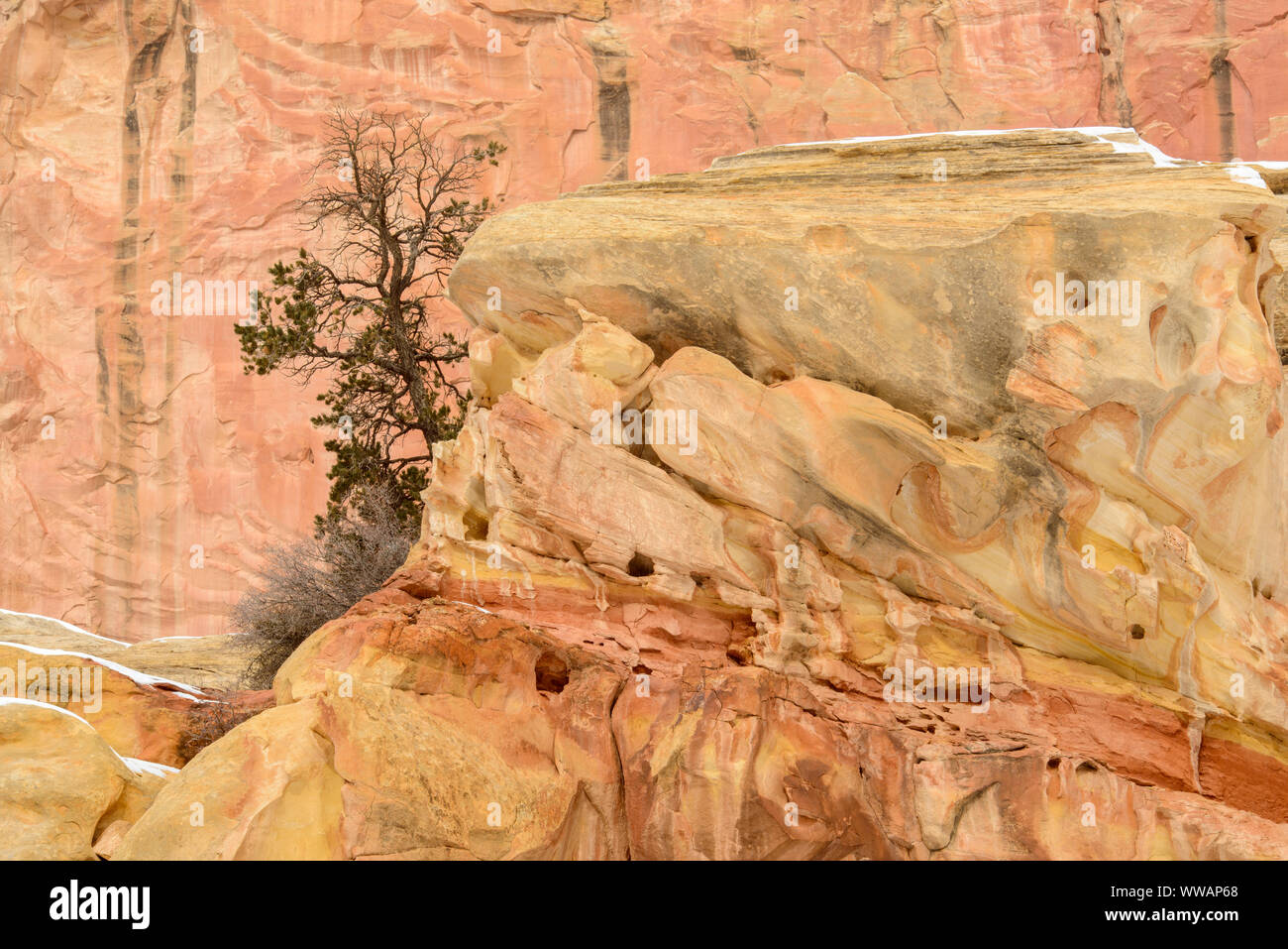 Laver les murs de canyon grand en hiver, Capitol Reef National Park, Utah, USA Banque D'Images