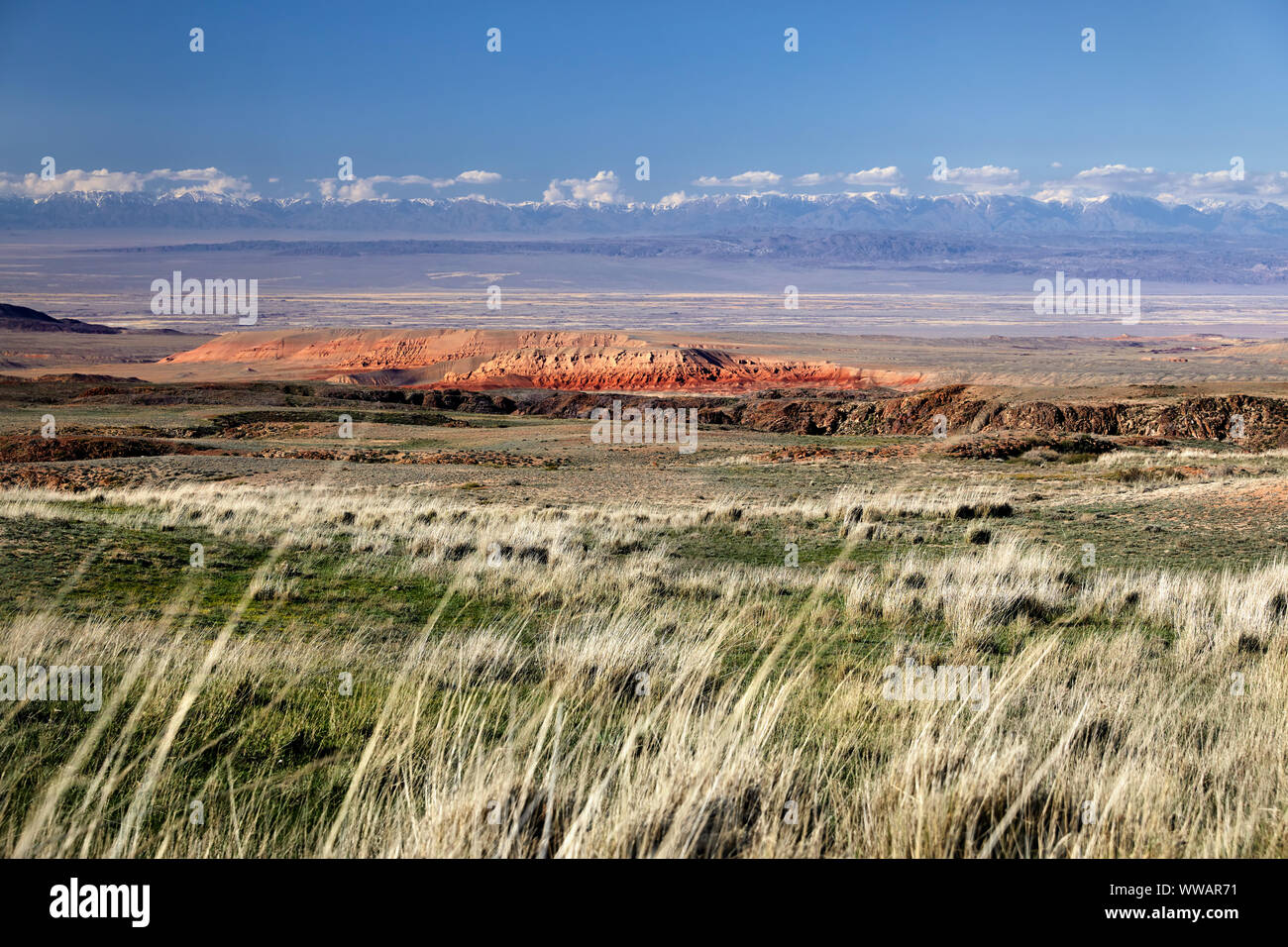 Paysage de montagnes rouges dans la steppe entouré de montagnes enneigées au Kazakhstan Banque D'Images