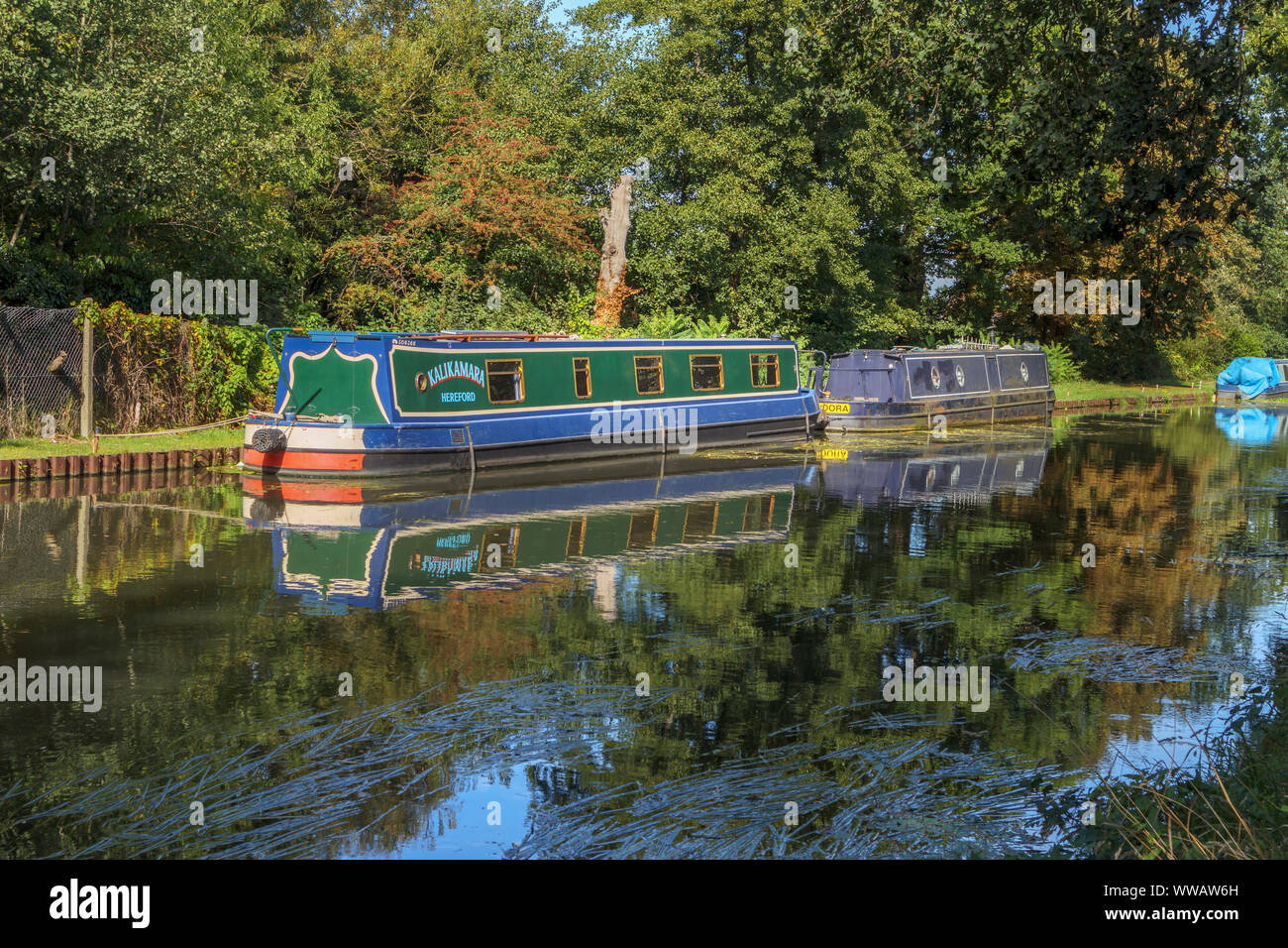 Bateaux amarrés sur les rives de la rivière Wey comme il se joint à l'Basingstoke Canal entre Weybridge et New Haw, Surrey, Angleterre du Sud-Est, Royaume-Uni Banque D'Images