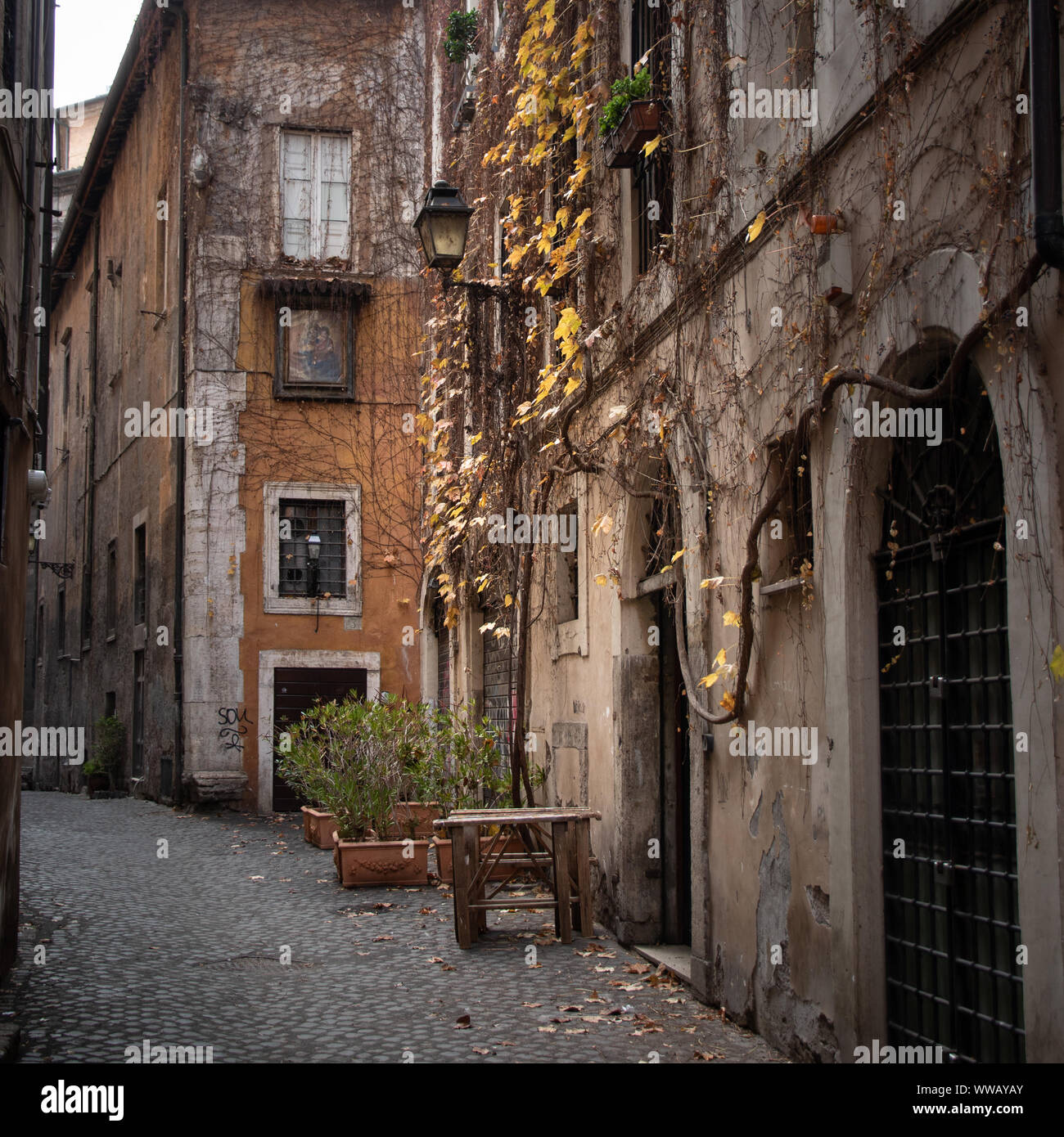 Rome, Italie, l'ancienne allée avec feuillage jaune Banque D'Images