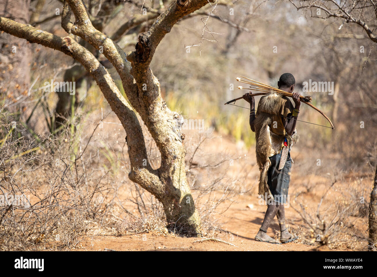 Lake Eyasi, Tanzanie, 12 Septembre 2019 : Hadzabe homme marchant dans une nature à miel Banque D'Images