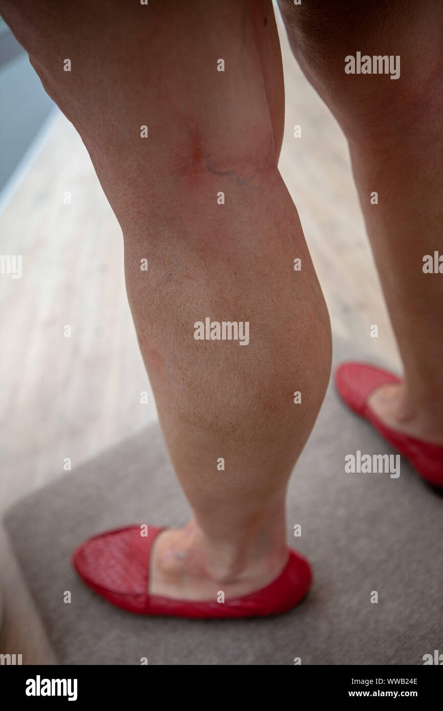 L'Art à Paris, La Biennale de Paris, l'Universelle Art Fair, Paris, France Banque D'Images