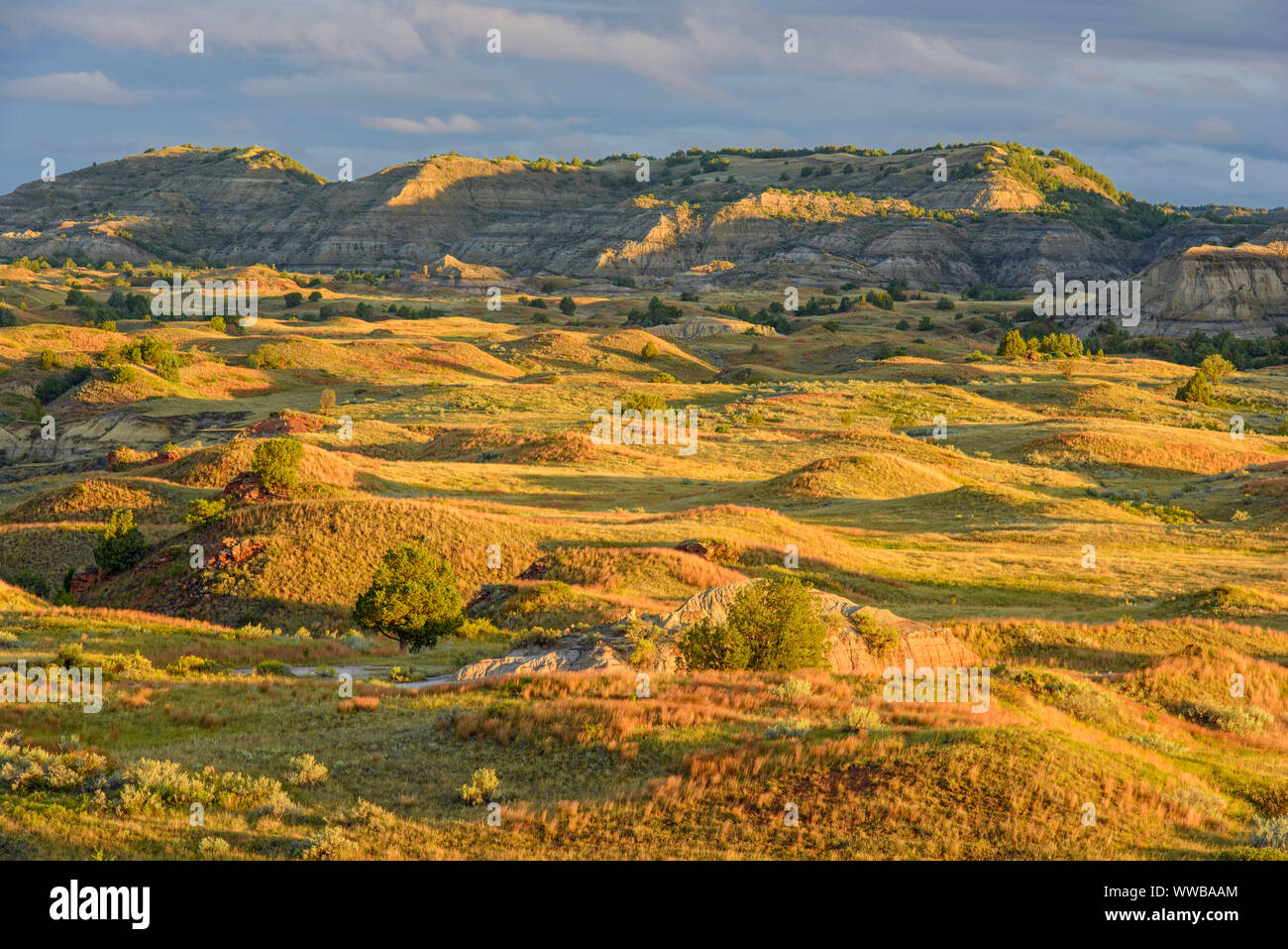 Badlands de Buck Hill, parc national Theodore Roosevelt (Unité Sud), Dakota du Nord, USA Banque D'Images