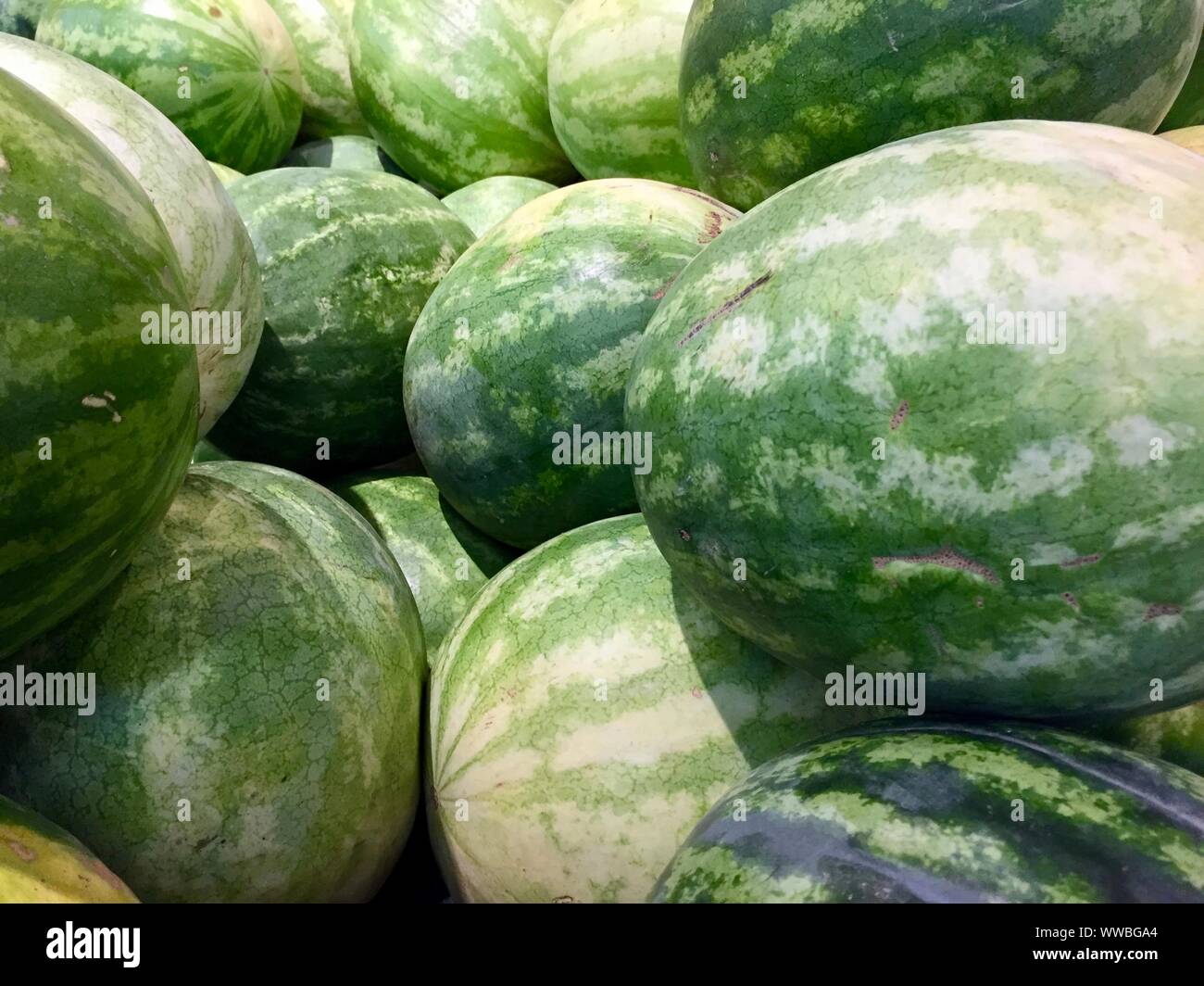 Les pastèques mûres sur l'affichage à un marché Banque D'Images