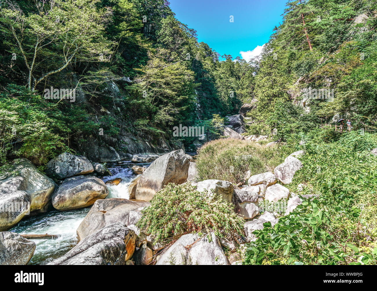 Les Gorges de Shosenkyo, Kofu, Yamanashi, Japon Banque D'Images