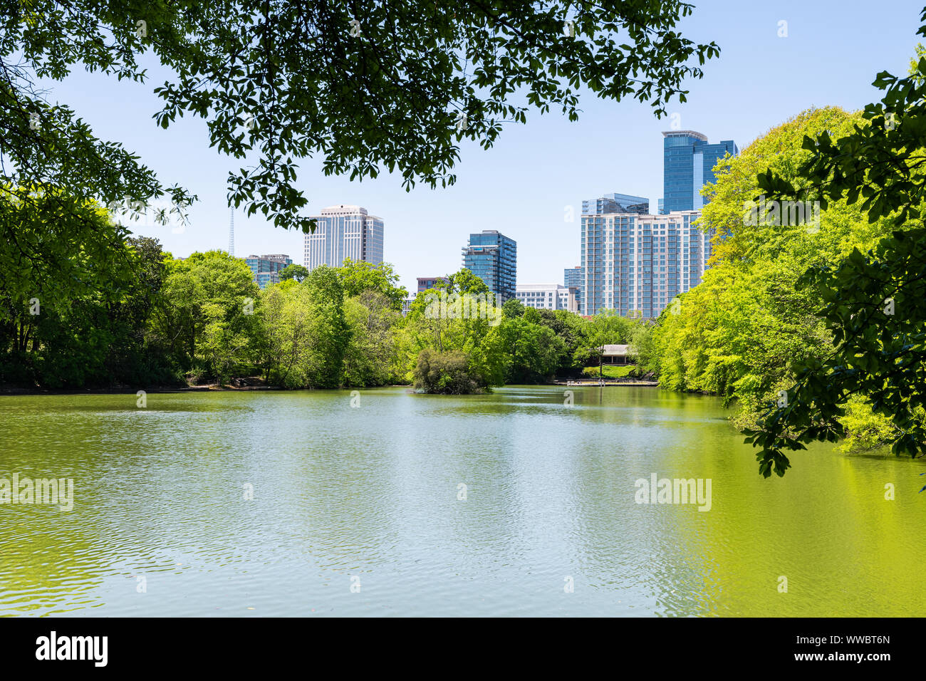 Paysage Urbain, vue sur l'horizon en Piedmont Park à Atlanta, Géorgie, à l'eau, à travers des arbres scenic city skyscrapers downtown au lac Clara Meer Banque D'Images