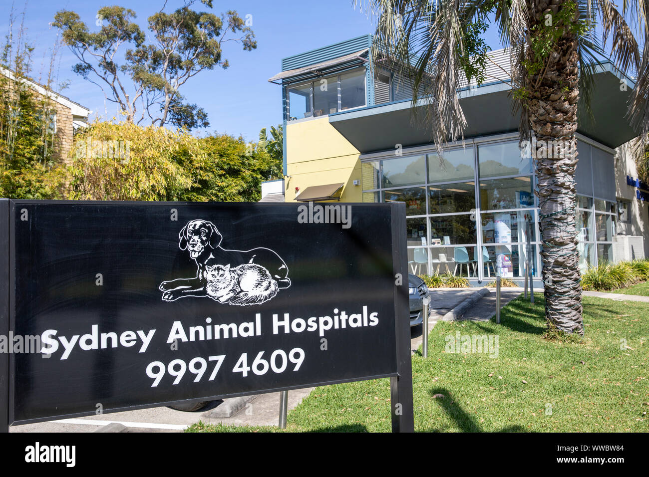 L'hôpital vétérinaire de Sydney et de l'EFP dans Newport Beach, Sydney, Australie Banque D'Images
