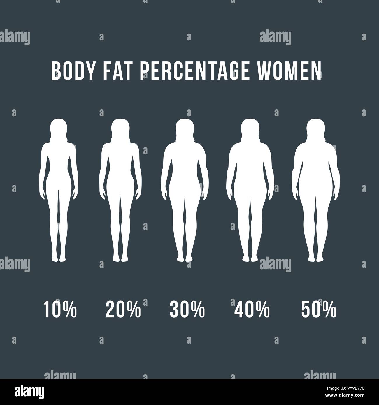 Pourcentage de graisse du corps femme concept conçoit des régimes alimentaires vector woman et exercices avant et après de la graisse à la remise en forme Illustration de Vecteur
