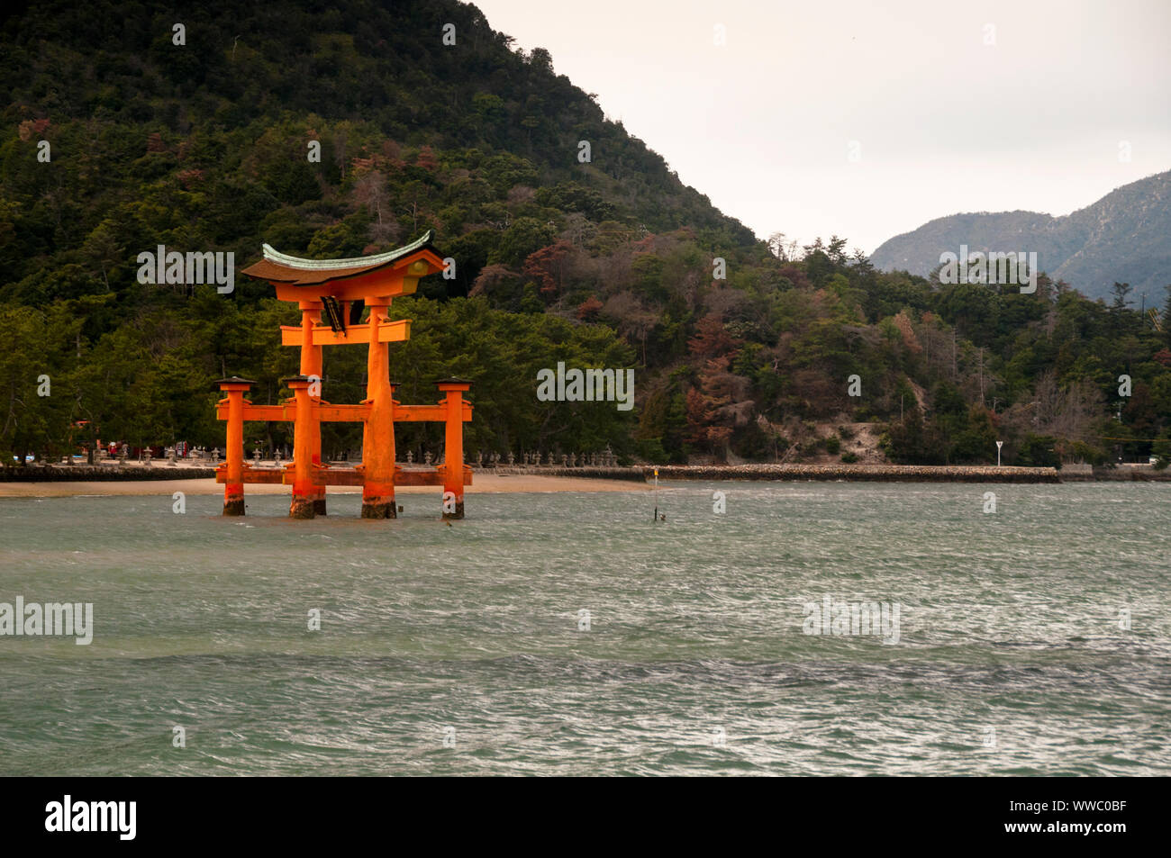 Le sanctuaire torri d'Itsukushima semble flotter dans l'eau, sur l'île de Miyajima, au Japon. Banque D'Images