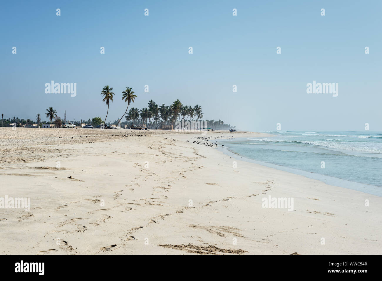 Mascate, Sultanat d'Oman - 12 novembre 2017 : Vue de l'Al Haffa beach à Salalah, Oman, l'Océan Indien. Banque D'Images