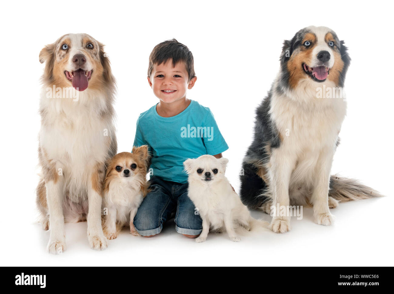 Chiens et enfants en font de fond blanc Banque D'Images