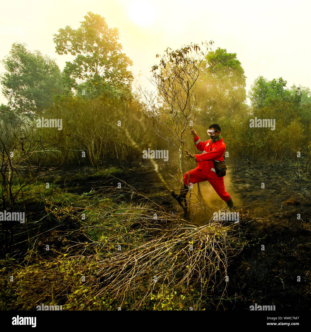 Banyuasin, au sud de Sumatra, en Indonésie. 13 Sep, 2019. Au sud de Sumatra, Indonésie - 15 SEPTEMBRE : les pompiers de l'Indonésie a essayé d'éteindre le feu de forêt à Sungai Pinang village le 13 septembre, 2019 dans Banyuasin regency, province de Sumatra du sud, l'Indonésie. Les feux de forêts de l'Indonésie a causé certaines parties de Sumatra d'être couverte de brume et inclus à Singapour et en Malaisie. Credit : Sijori Images/ZUMA/Alamy Fil Live News Banque D'Images