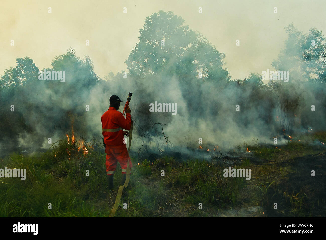 Banyuasin, au sud de Sumatra, en Indonésie. 13 Sep, 2019. Au sud de Sumatra, Indonésie - 15 SEPTEMBRE : les pompiers de l'Indonésie a essayé d'éteindre le feu de forêt à Sungai Pinang village le 13 septembre, 2019 dans Banyuasin regency, province de Sumatra du sud, l'Indonésie. Les feux de forêts de l'Indonésie a causé certaines parties de Sumatra d'être couverte de brume et inclus à Singapour et en Malaisie. Credit : Sijori Images/ZUMA/Alamy Fil Live News Banque D'Images