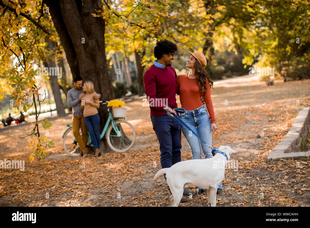 Jeune couple multiracial walking with dog in autumn park Banque D'Images