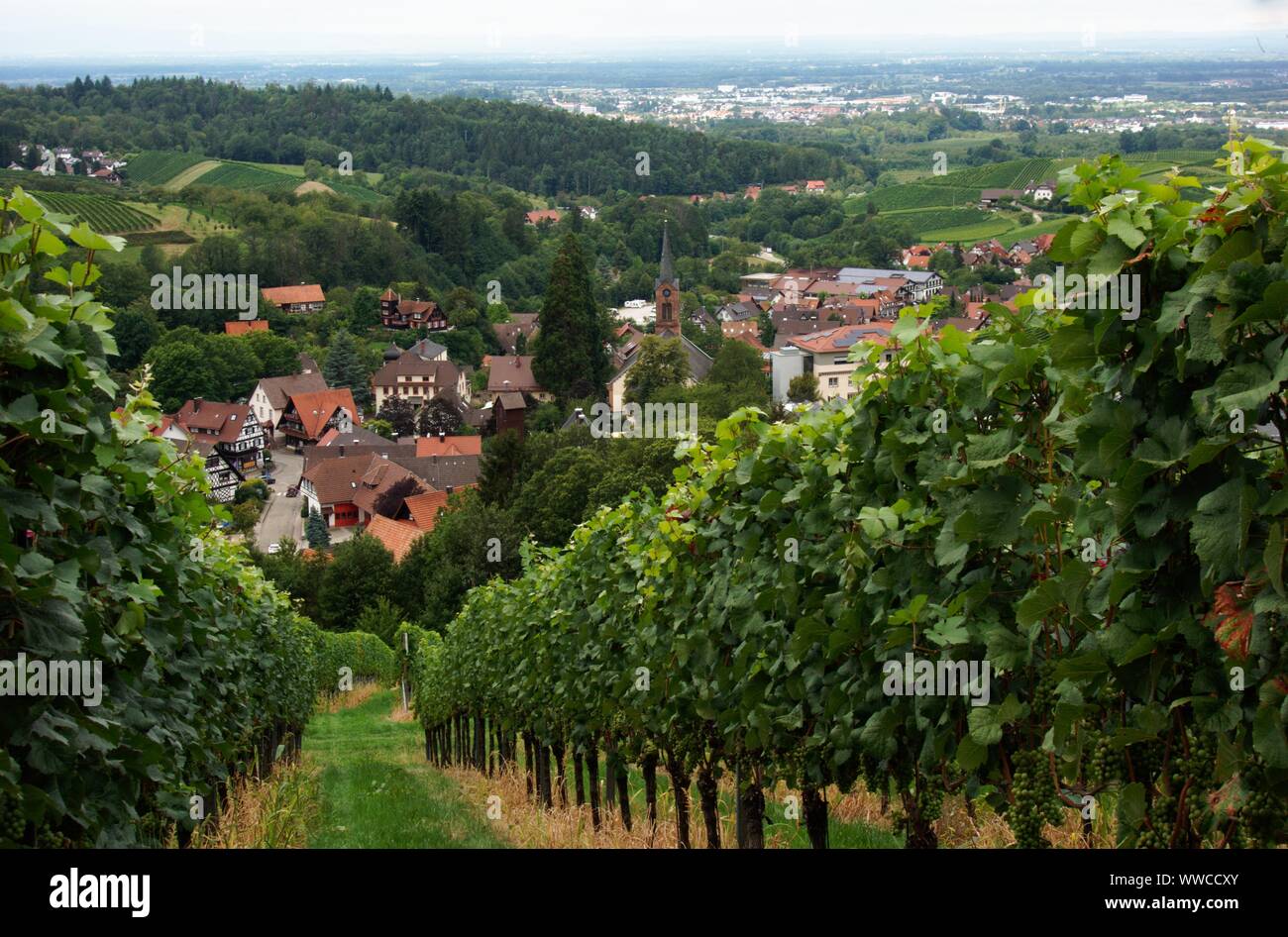 La Forêt Noire est une des plus belles natures en Allemagne Banque D'Images