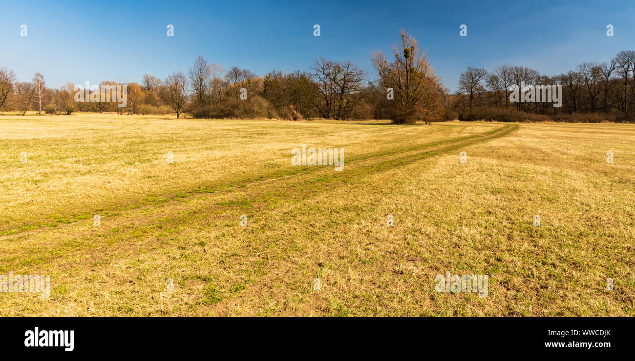 Début de printemps prairie avec des arbres autour, sentier et ciel clair au début du printemps CHKO Poodri en République Tchèque Banque D'Images