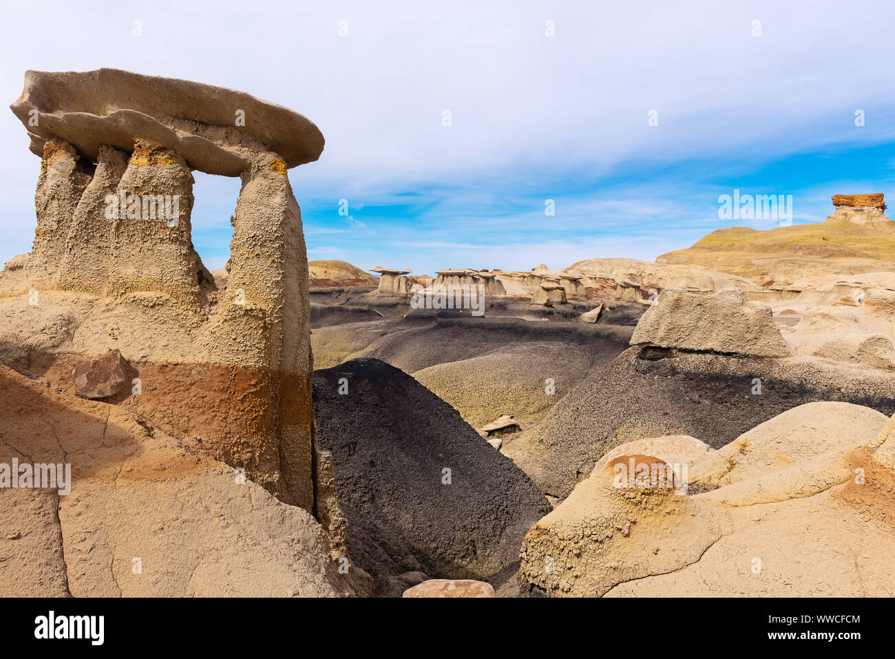 Bisti/De-Na-Zin Wilderness Area, New Mexico, USA Banque D'Images