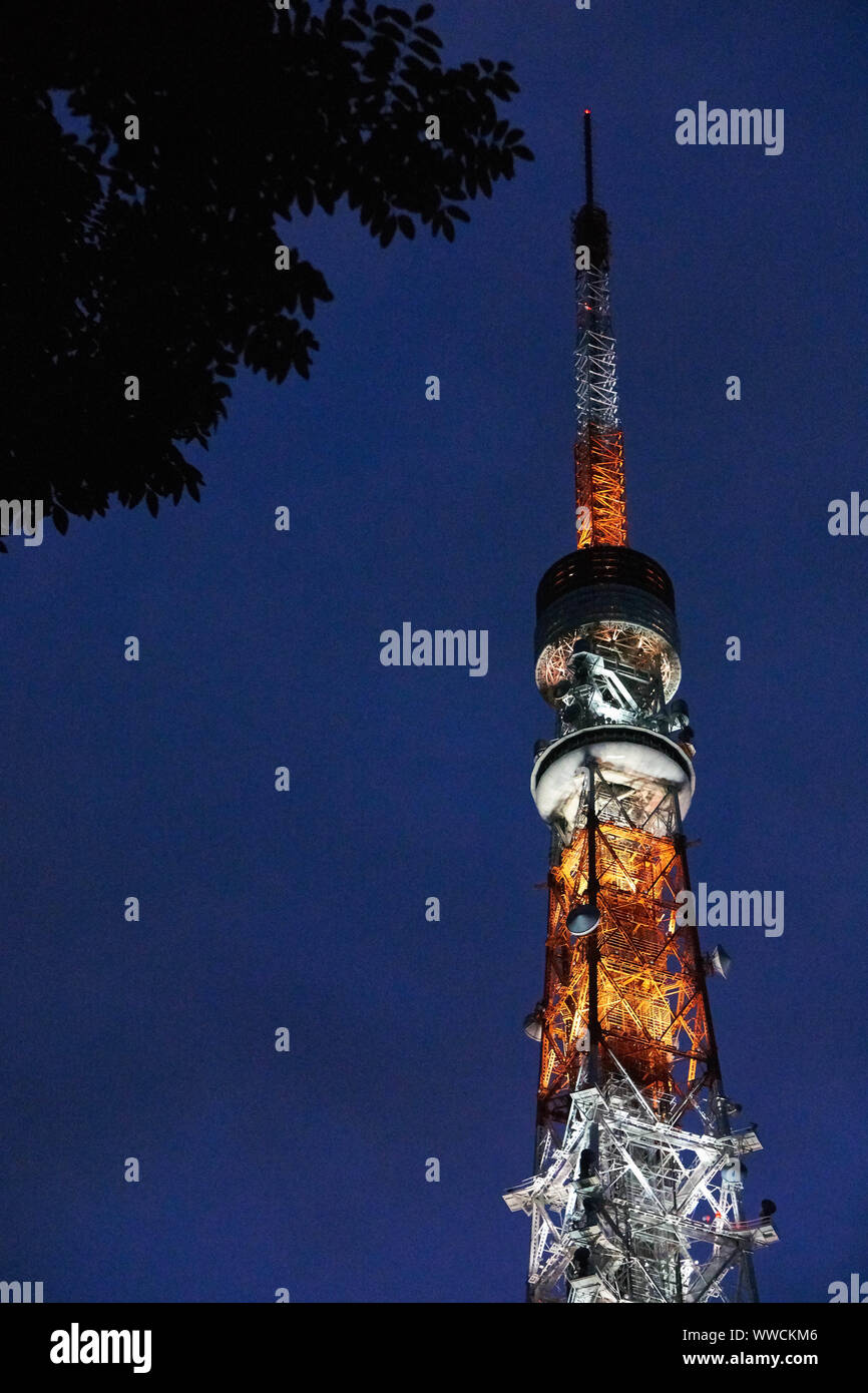 La tour internationale orange et blanche de Tokyo atteint le ciel nocturne lors d'une soirée d'été. Banque D'Images