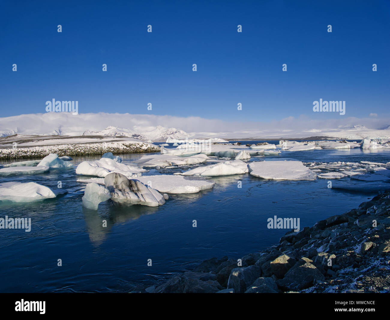 Plusieurs blocs de glace du glacier en Islande dérive dans les eaux calmes de la mer Banque D'Images